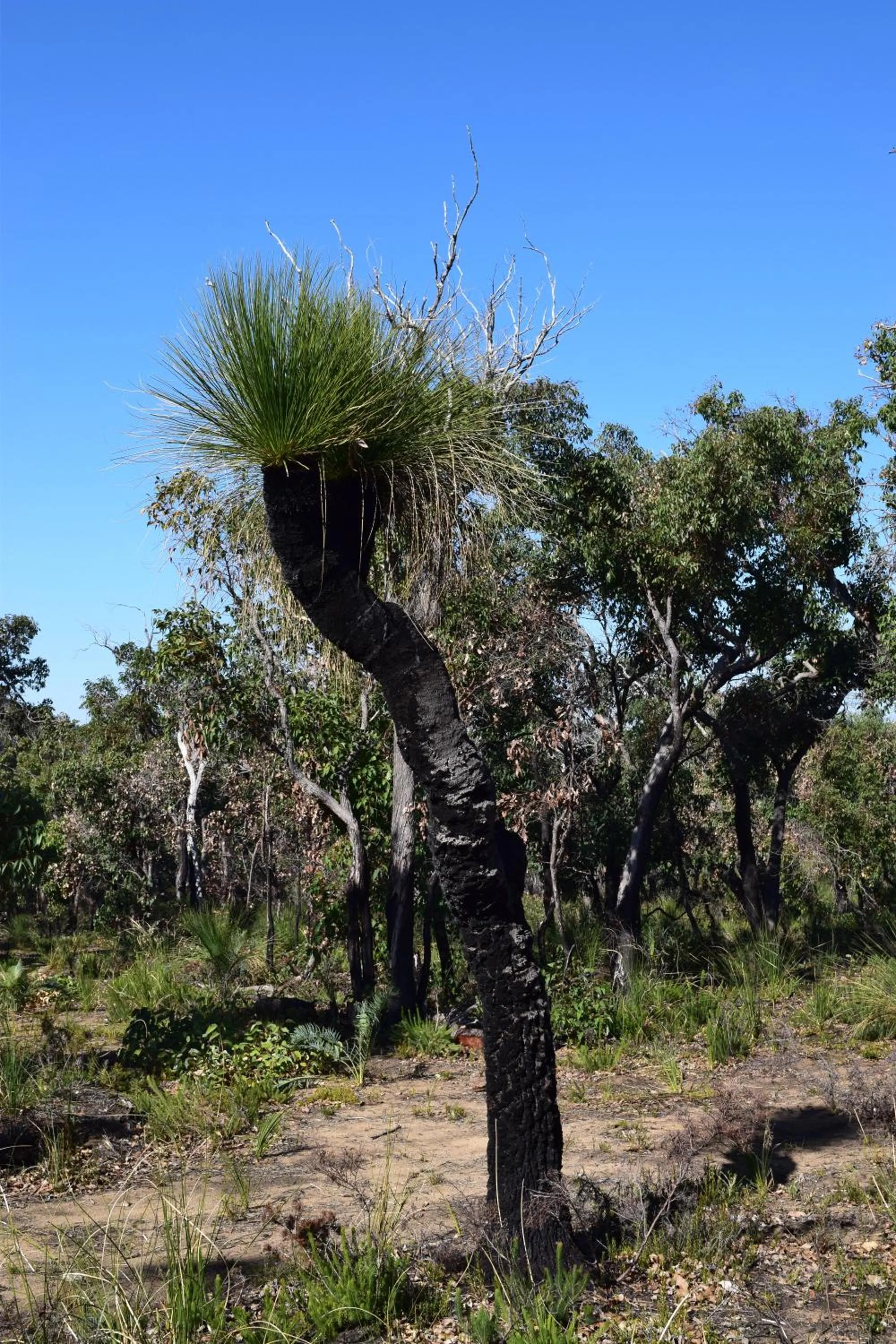 Natural landscape in Eagle Bay House
