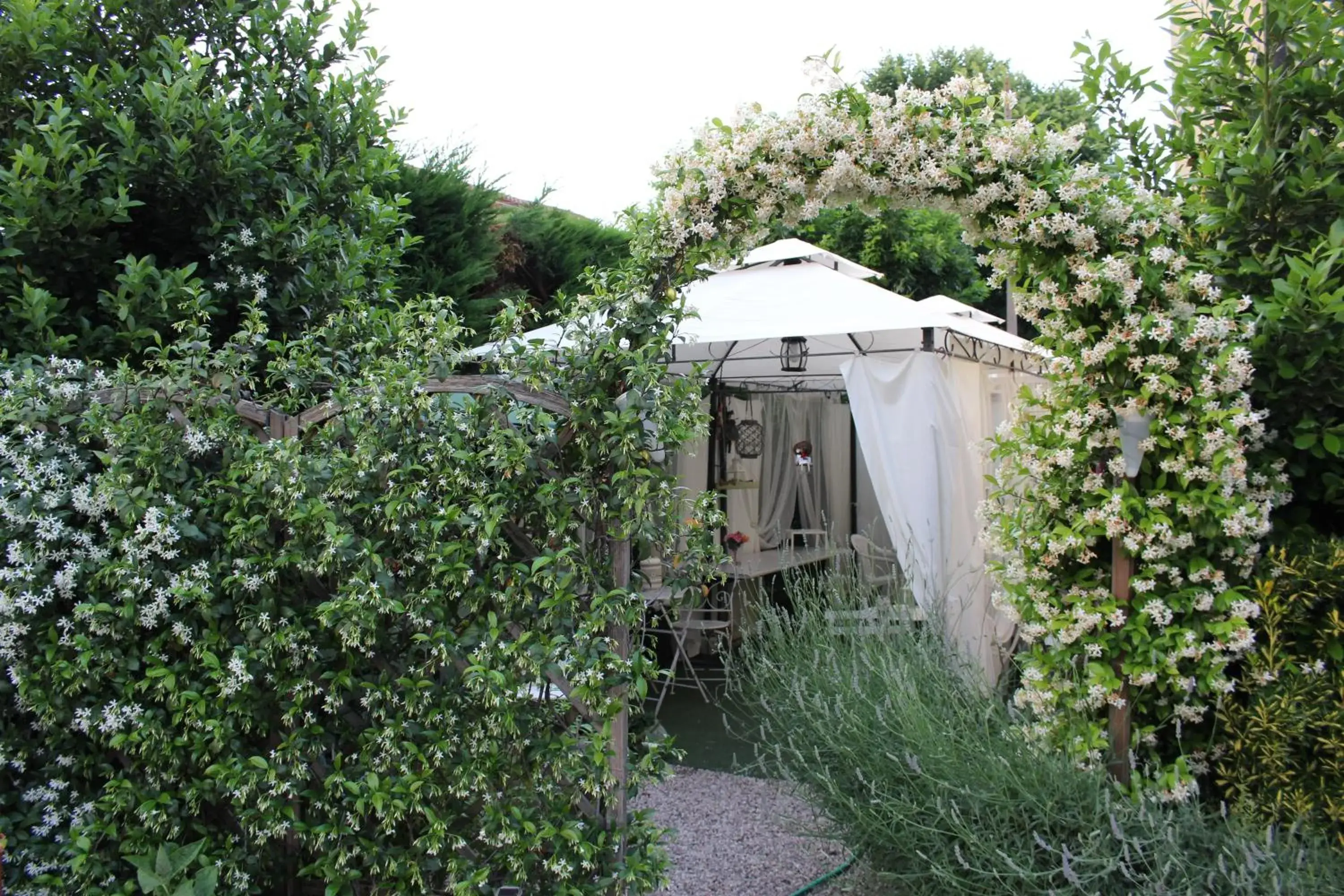 Dolce Vita Dolce Vita