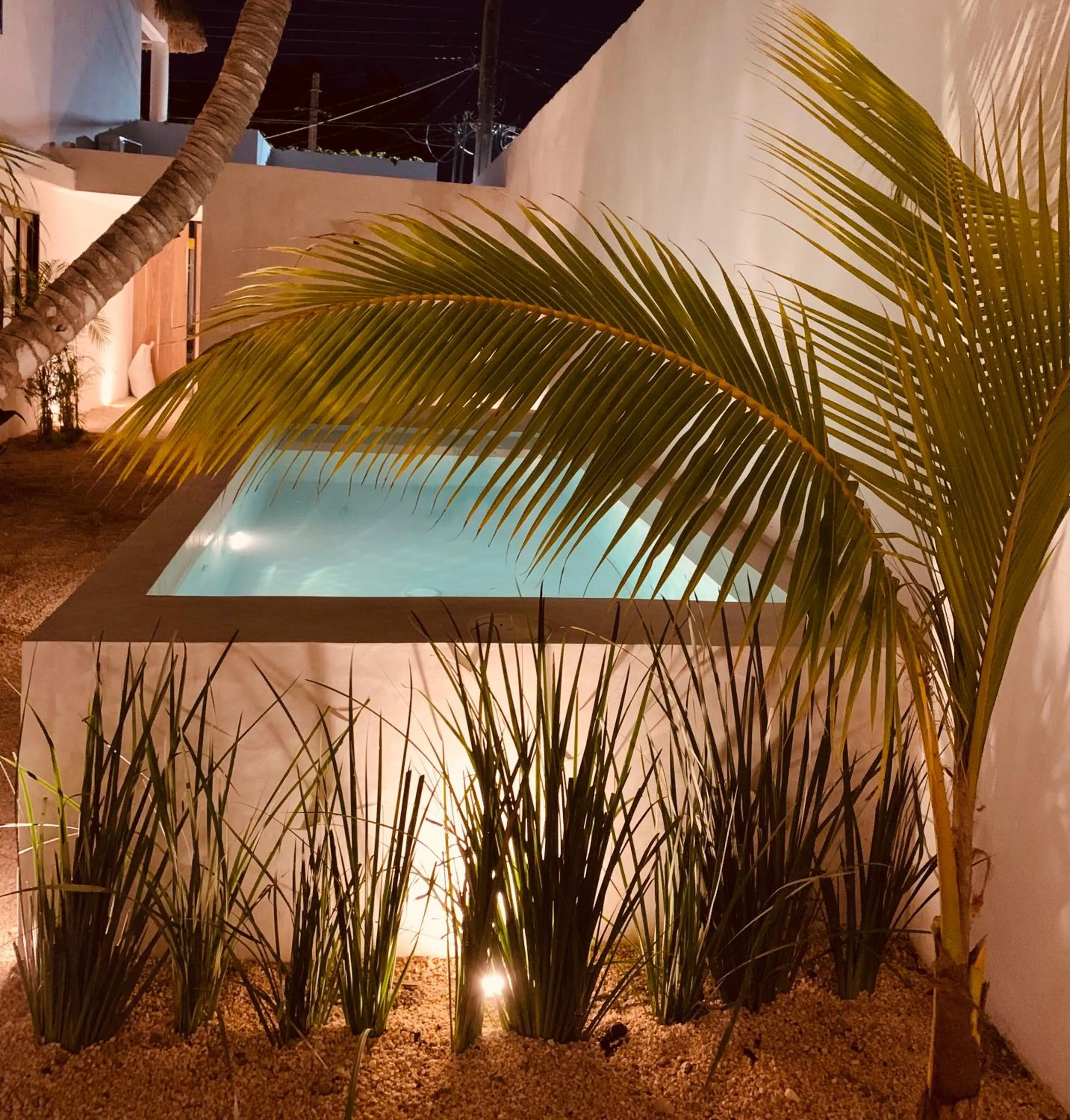Garden in Apartments & Suites MADRE Holbox Self-Check IN