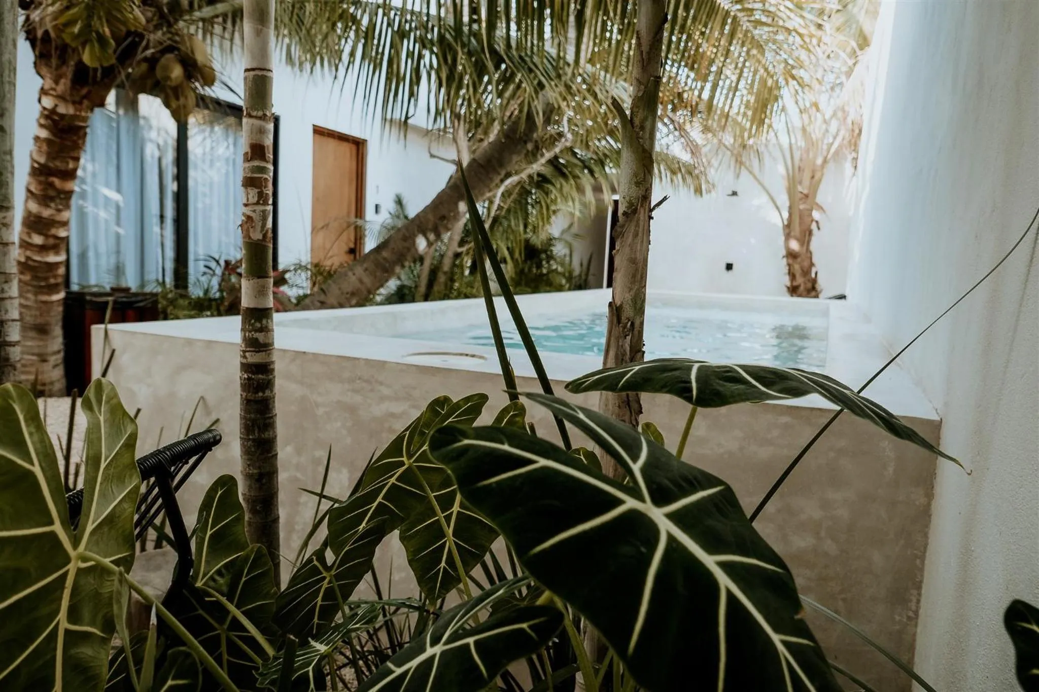 Garden view in Apartments & Suites MADRE Holbox Self-Check IN
