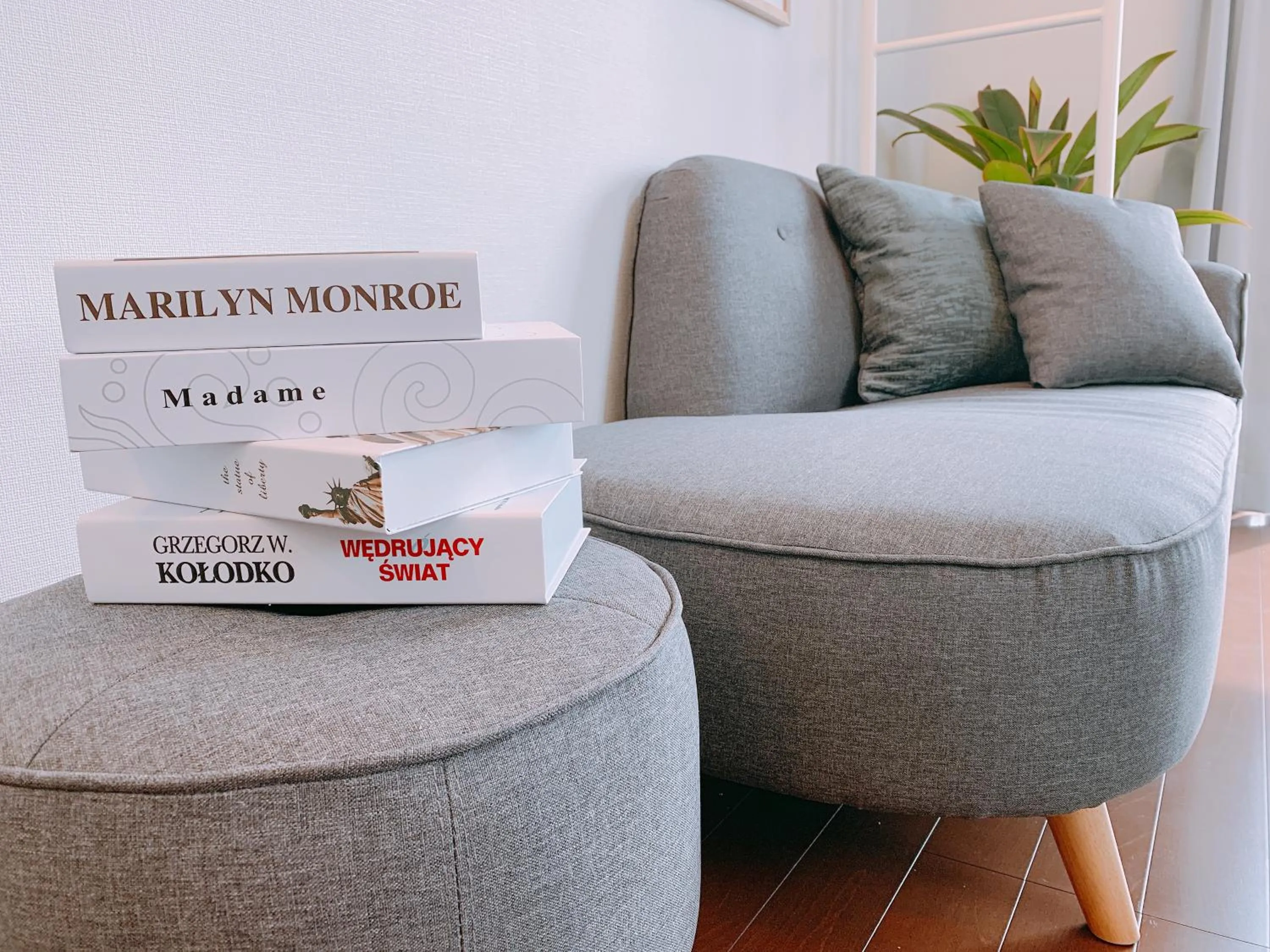 Living room in Dash Living Higashi Azabu