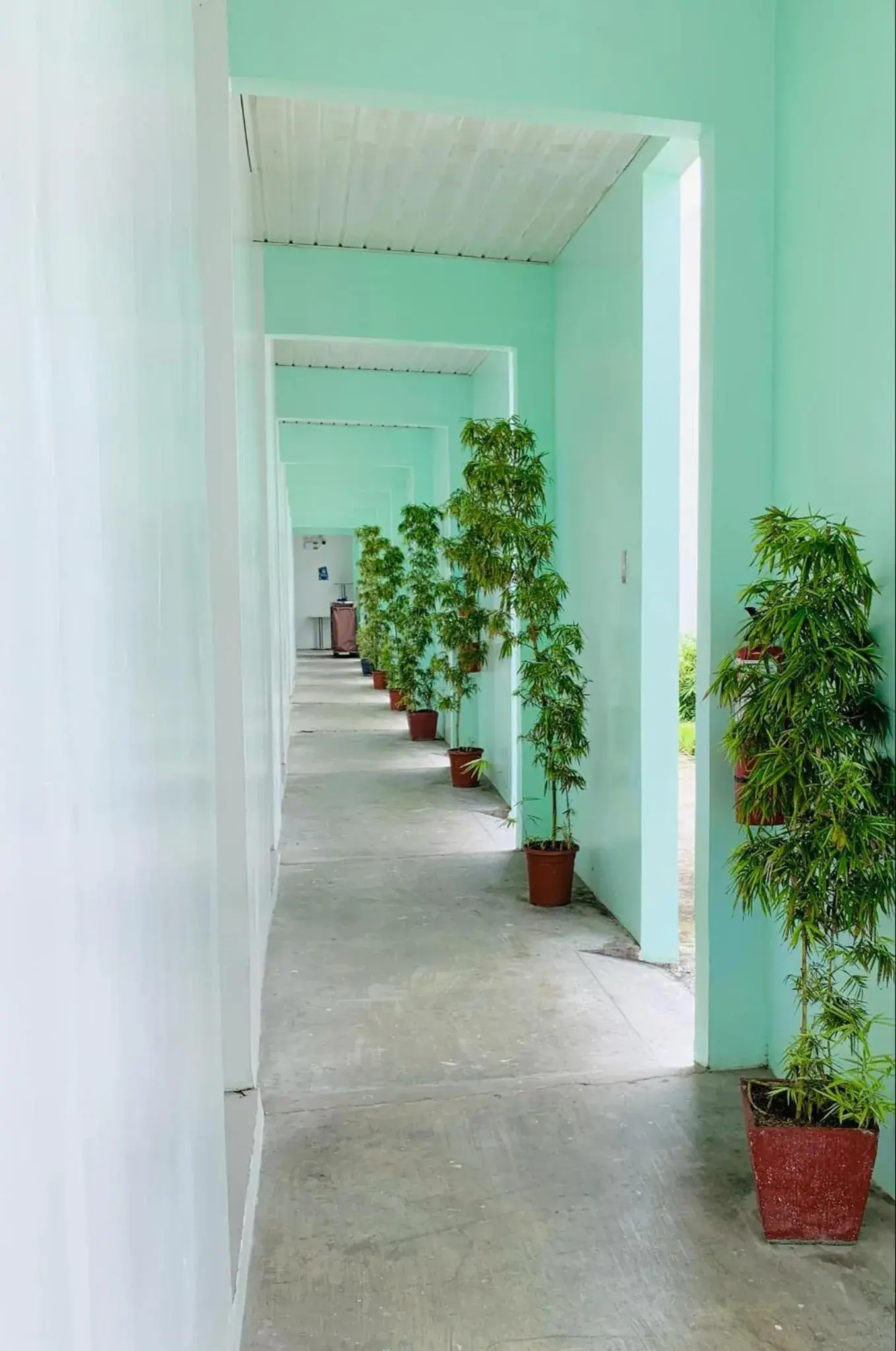 Property building in Kojõ Hotel Tagum Property building in Kojõ Hotel Tagum