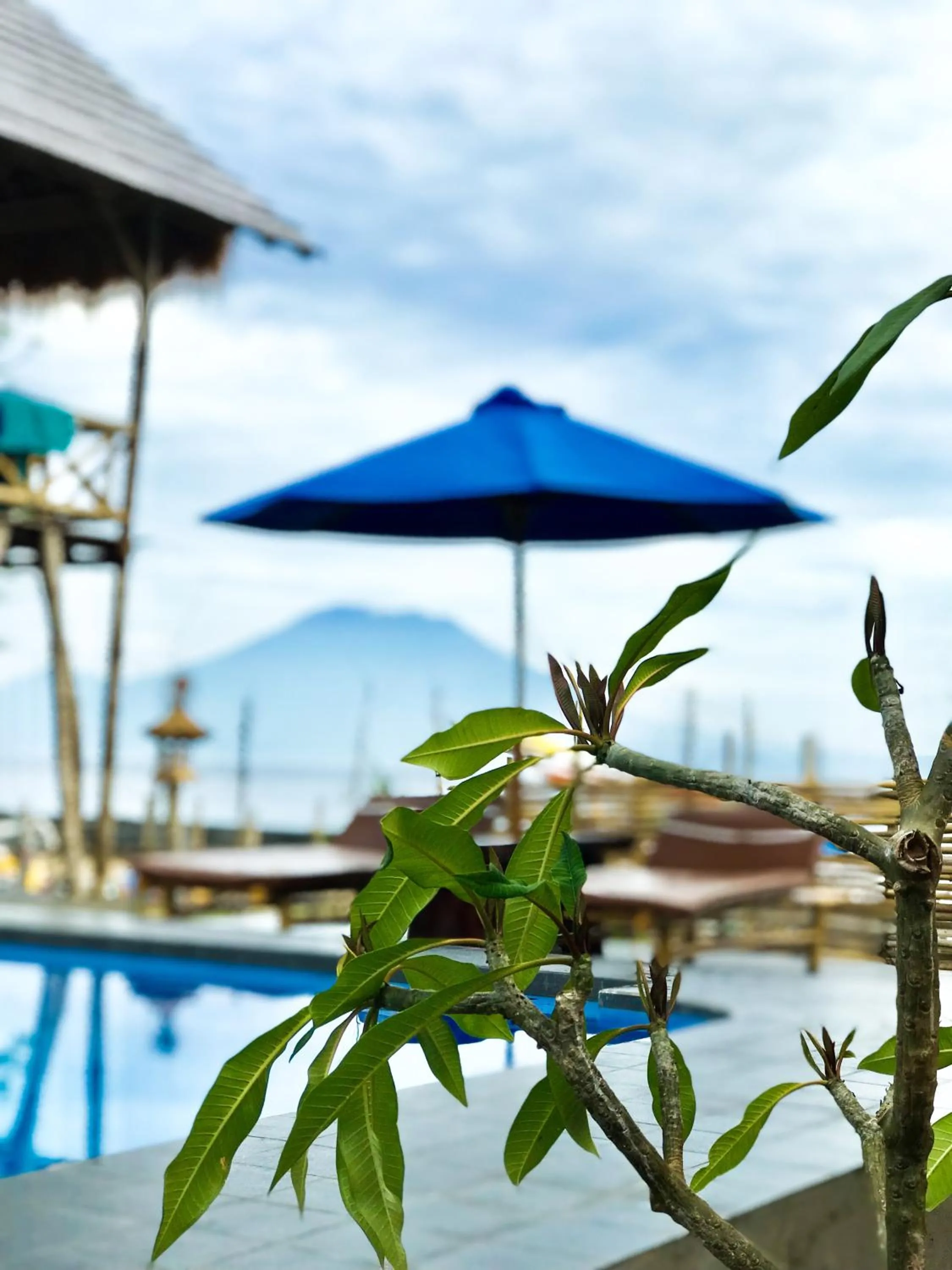 Pondok Bamboo Villa