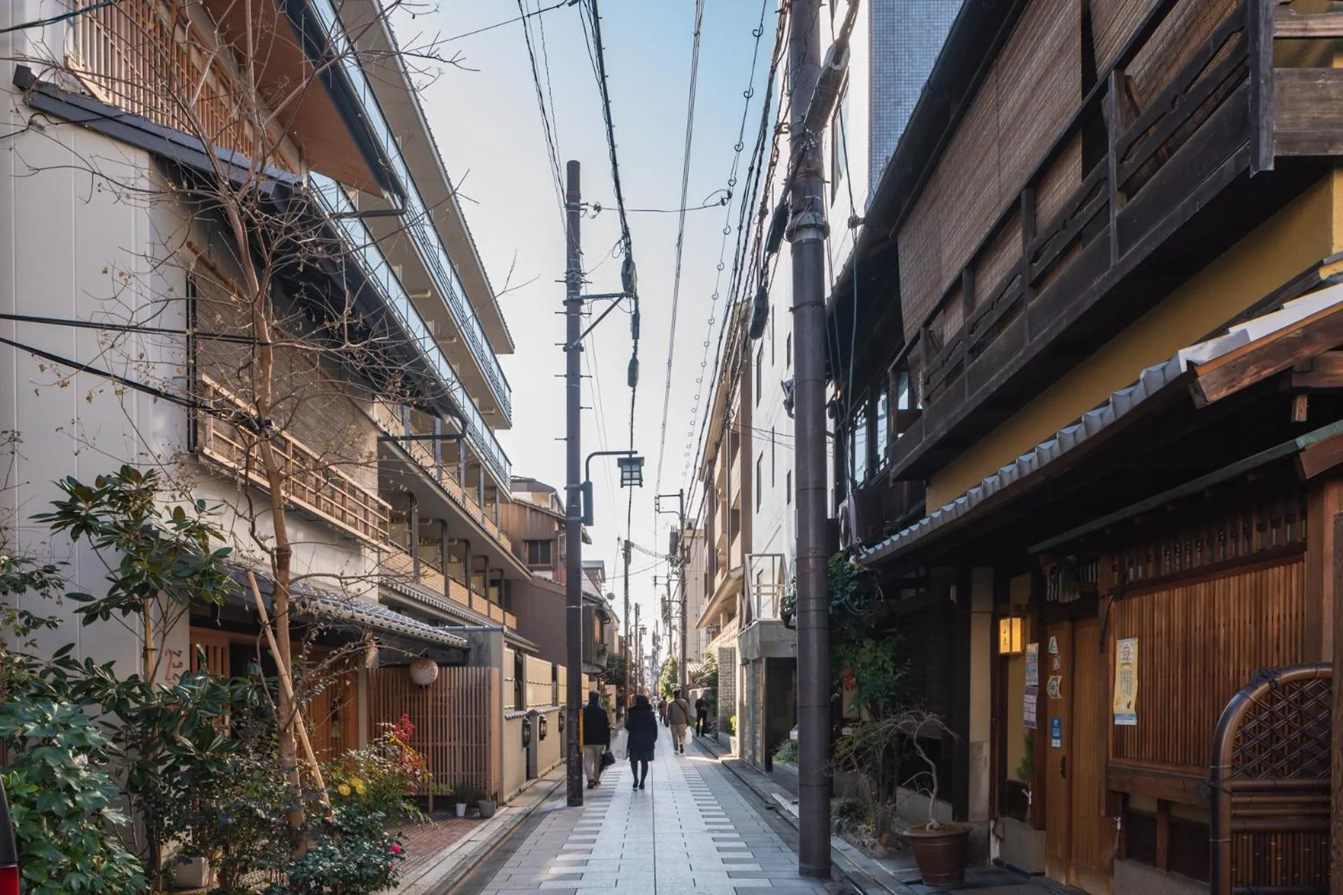 Property building in 2254