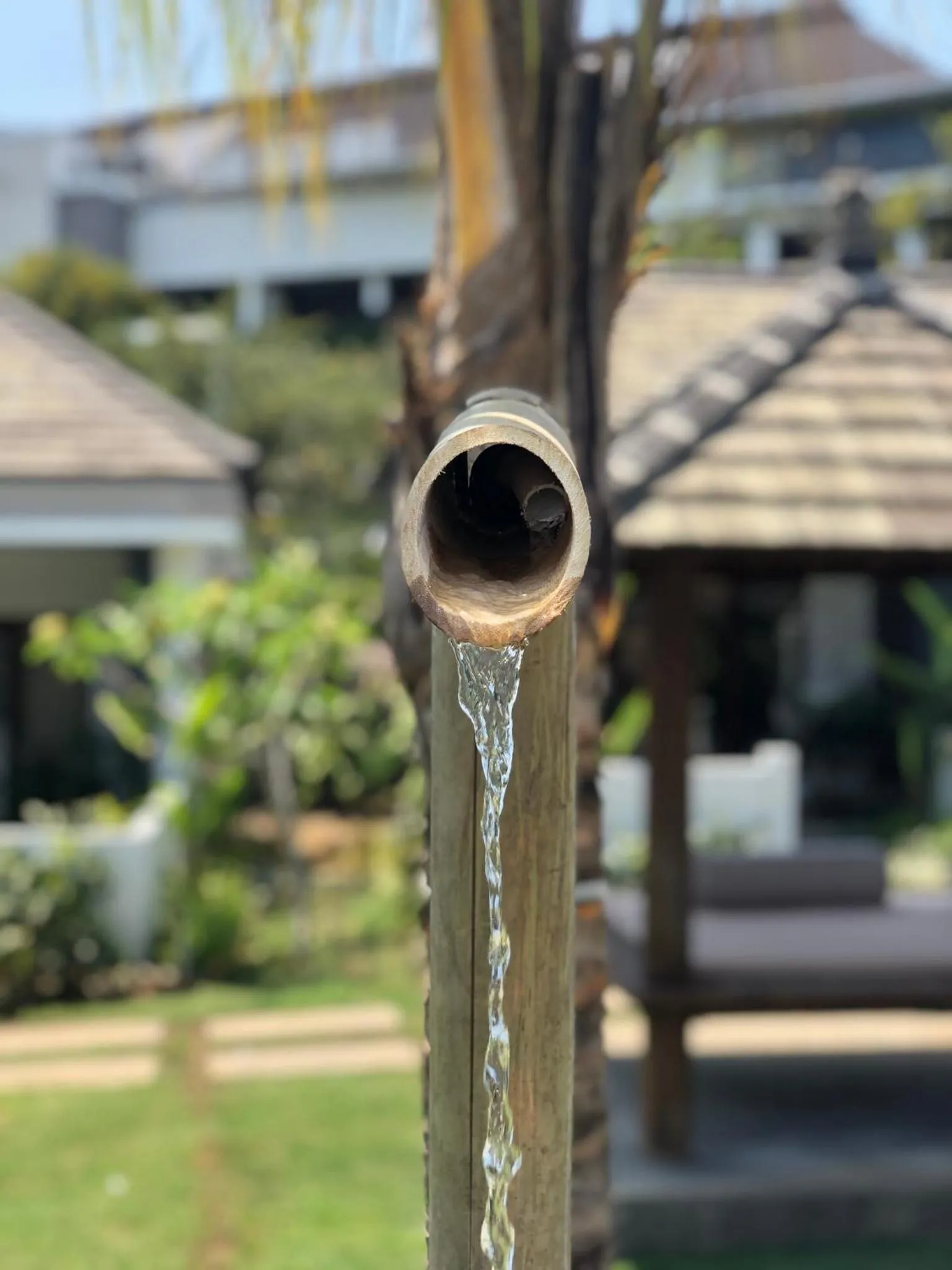 Garden in Village Bali