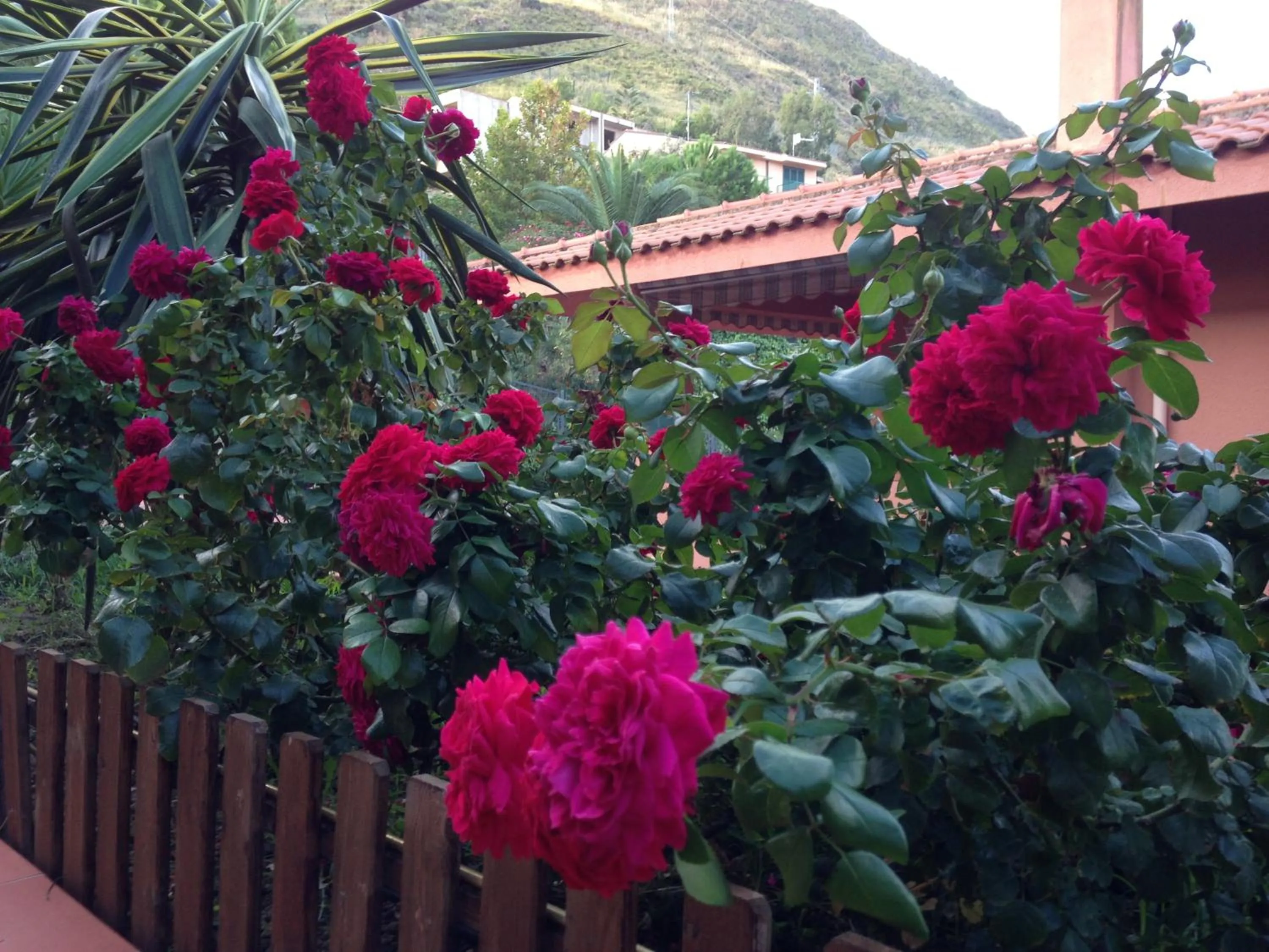 Garden in B&B Villa Di Giorgi