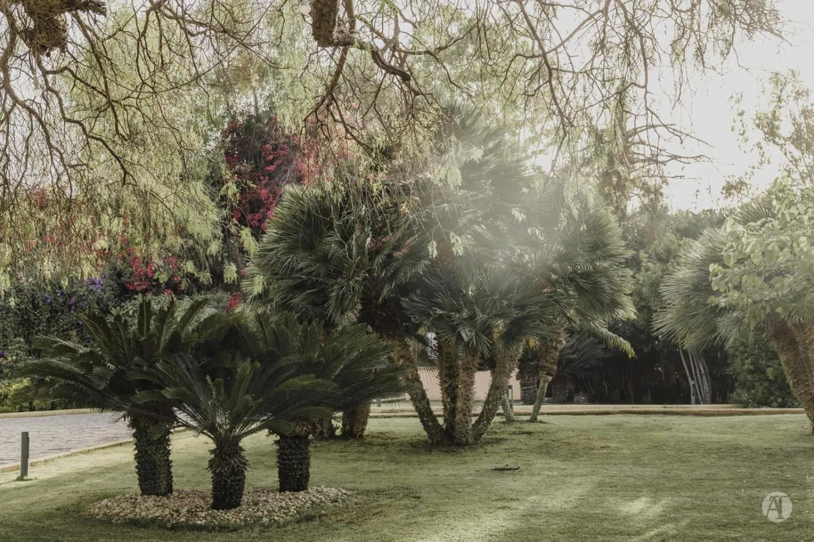 Garden in B&B Villa Seta