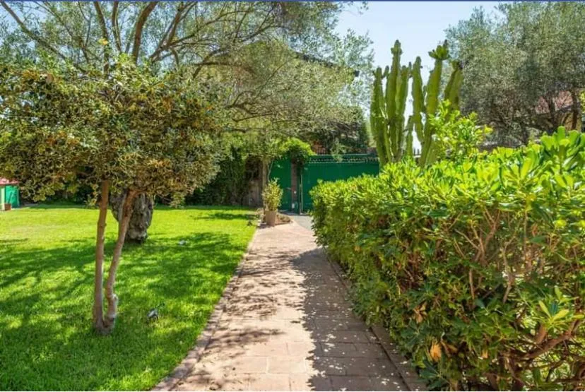 Apartment with Terrace - single occupancy in Ottomood B&B and Apartments
