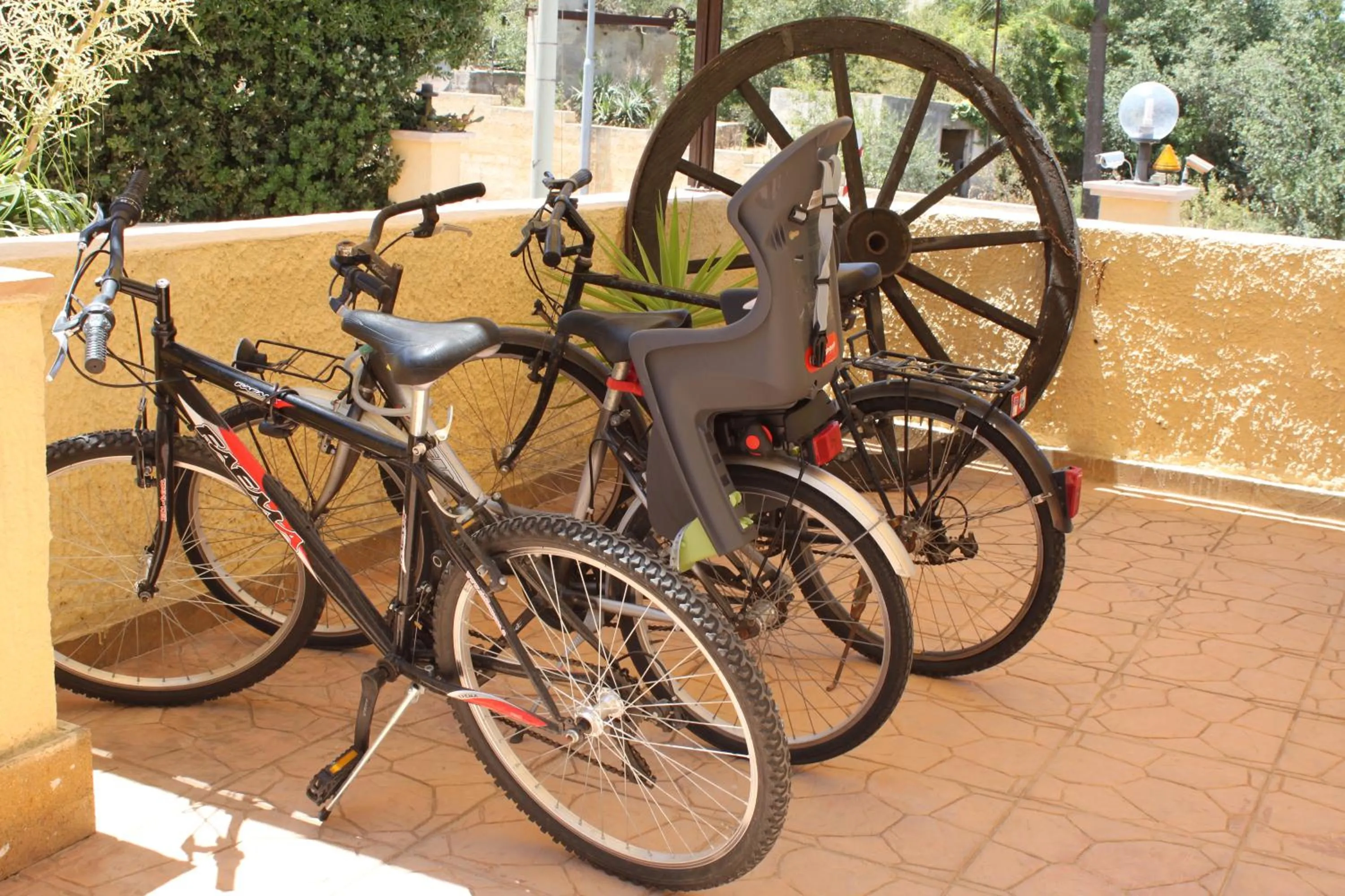 Cycling in Villa Mozia