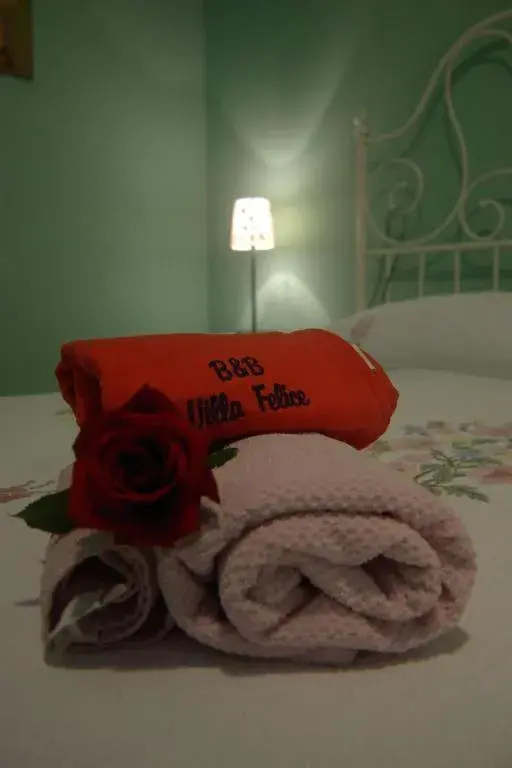 Double Room in Villa Felice Double Room in Villa Felice