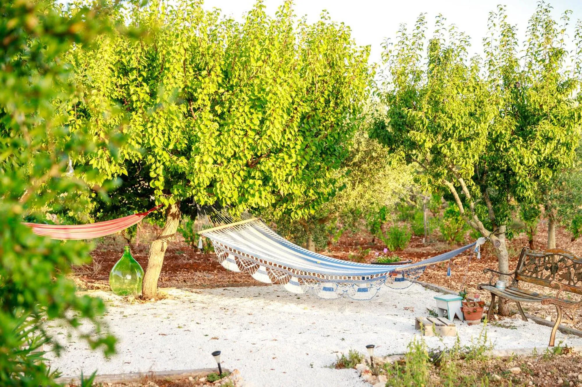 Natural landscape in B&B Mandorla Amara