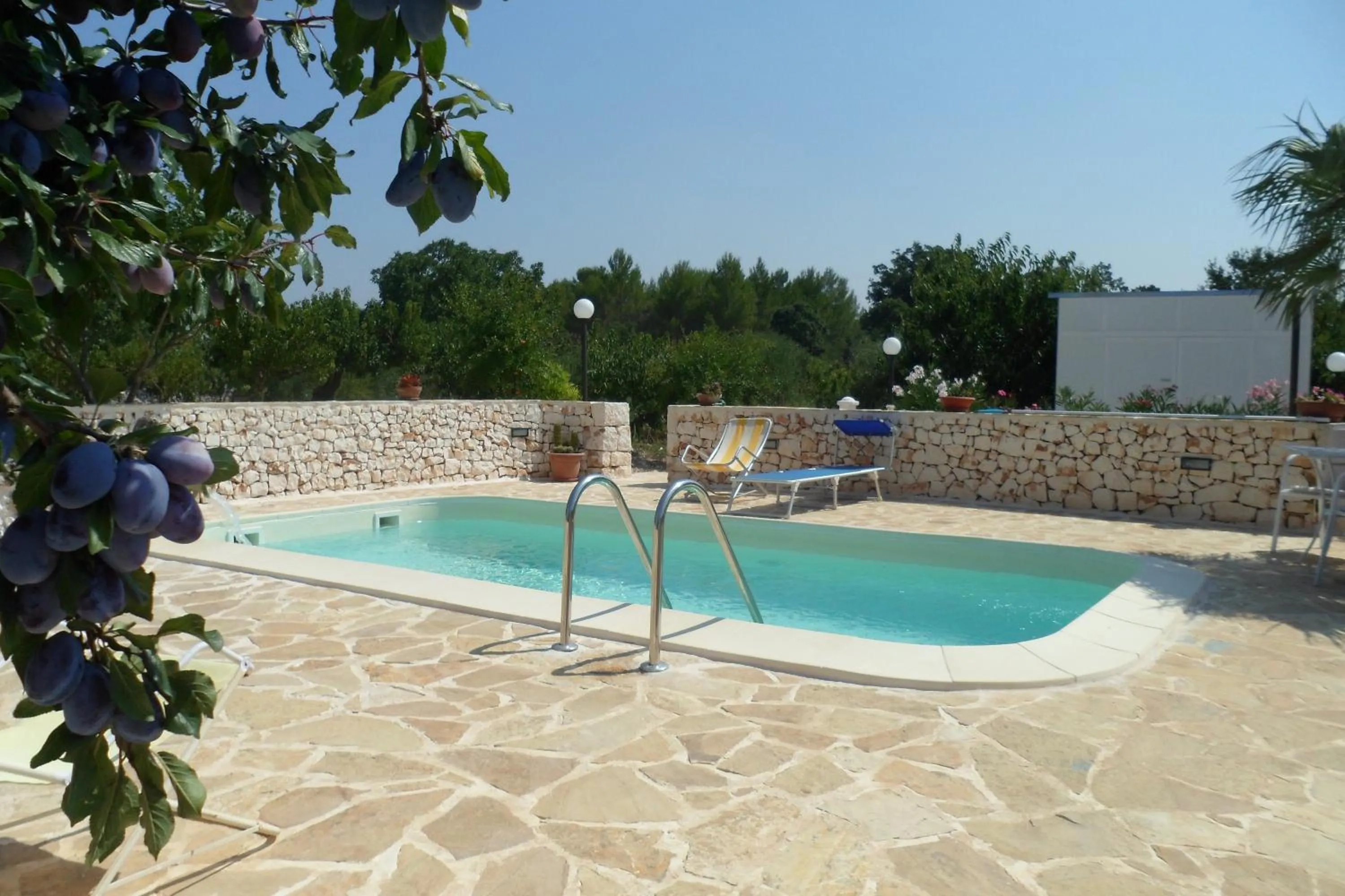 Swimming pool in B&B Mandorla Amara