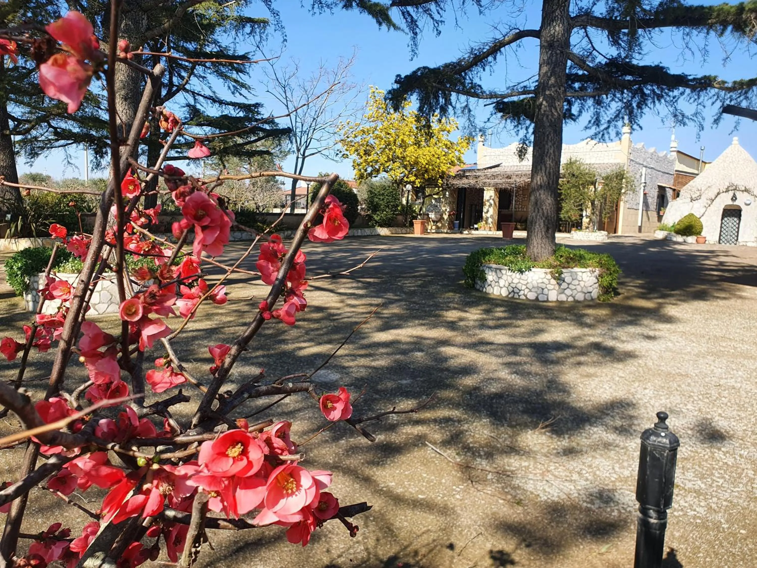 Property building in B&B Mandorla Amara