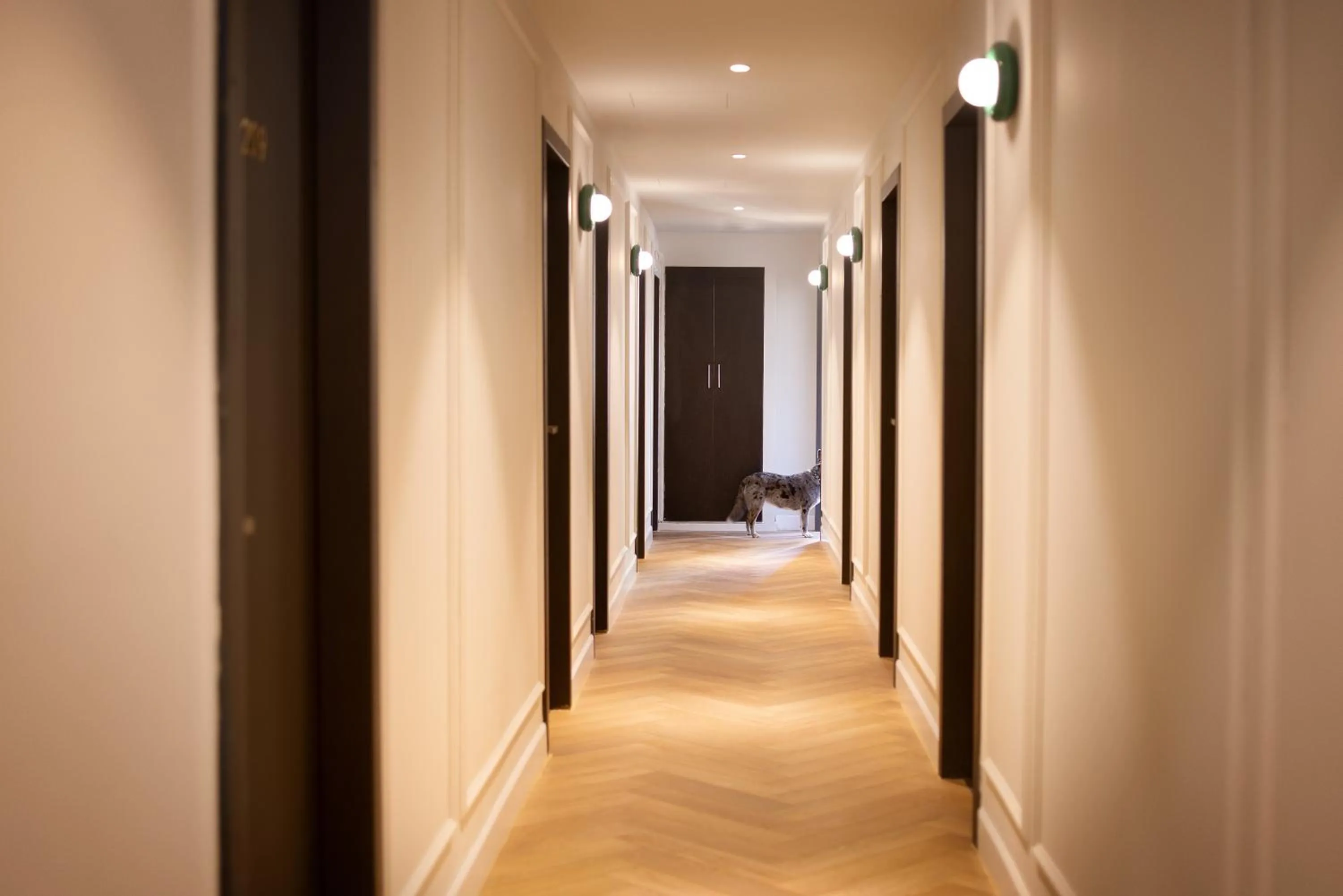 Property building in Monochrome - by Loginn Tel-Avivian hotels