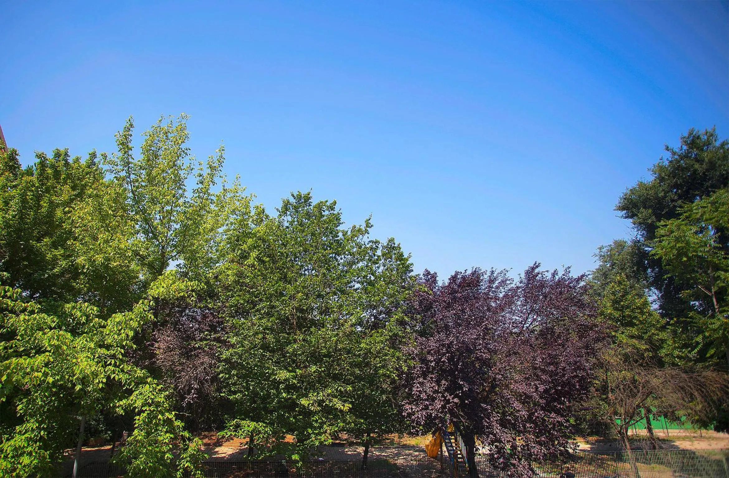 Area and facilities in Elements Guest House