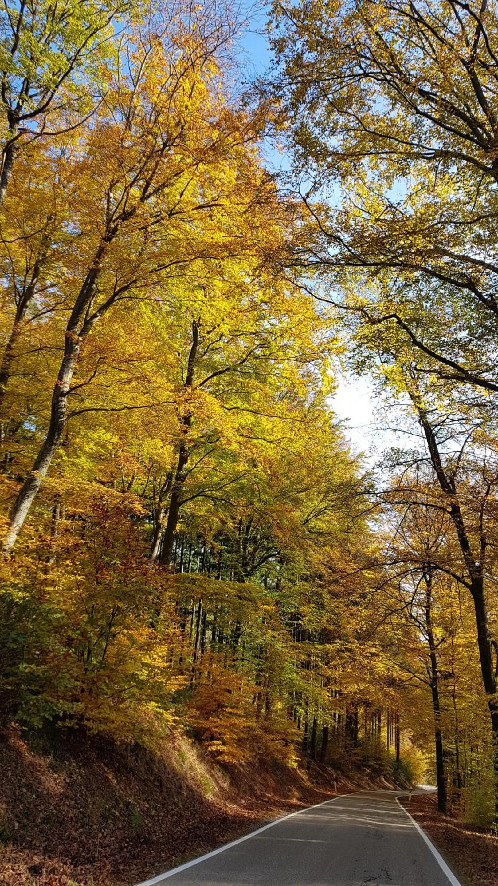 Other in Lauras Weinherberge