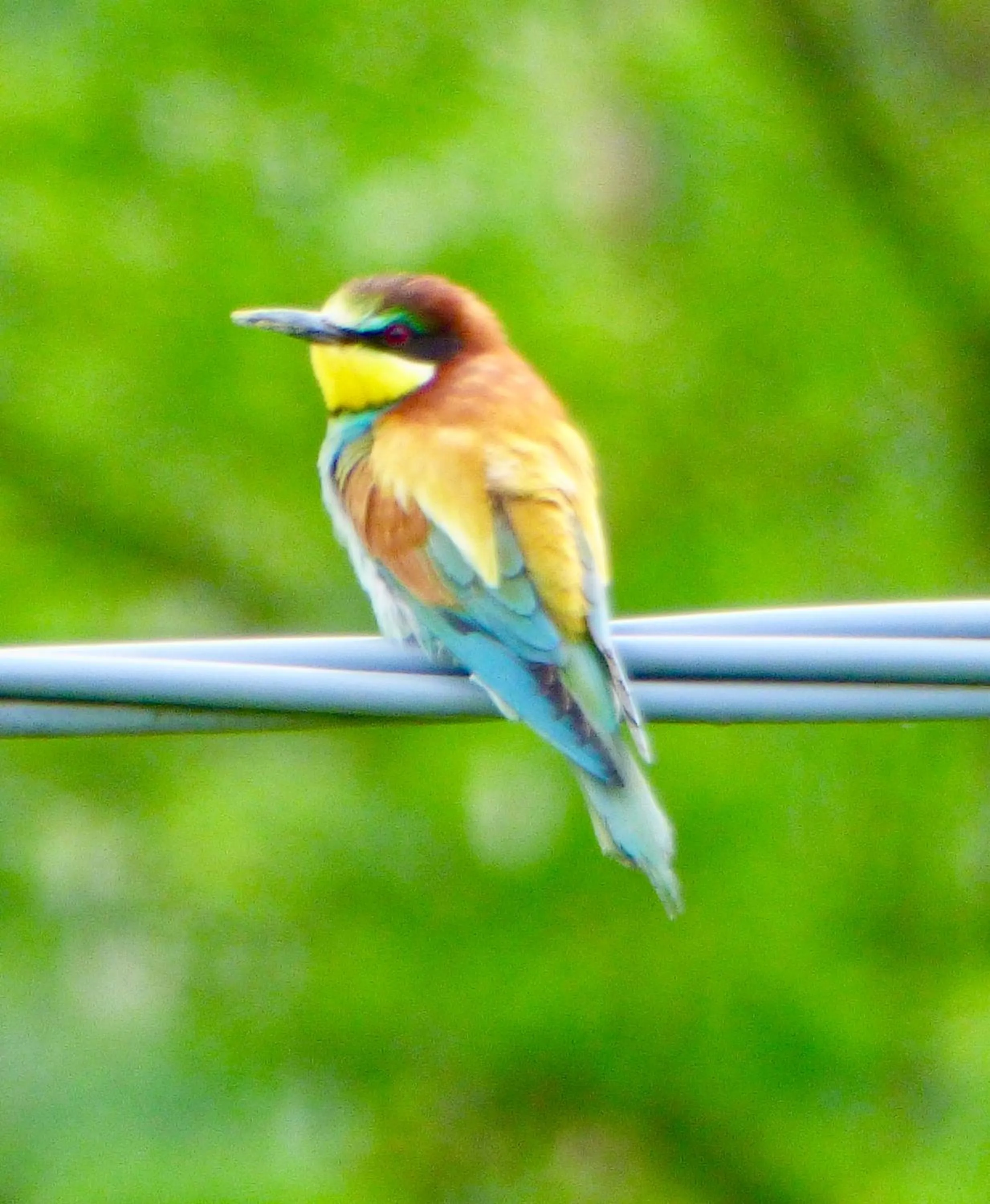 Spring in Il Nascondiglio - The Hideaway
