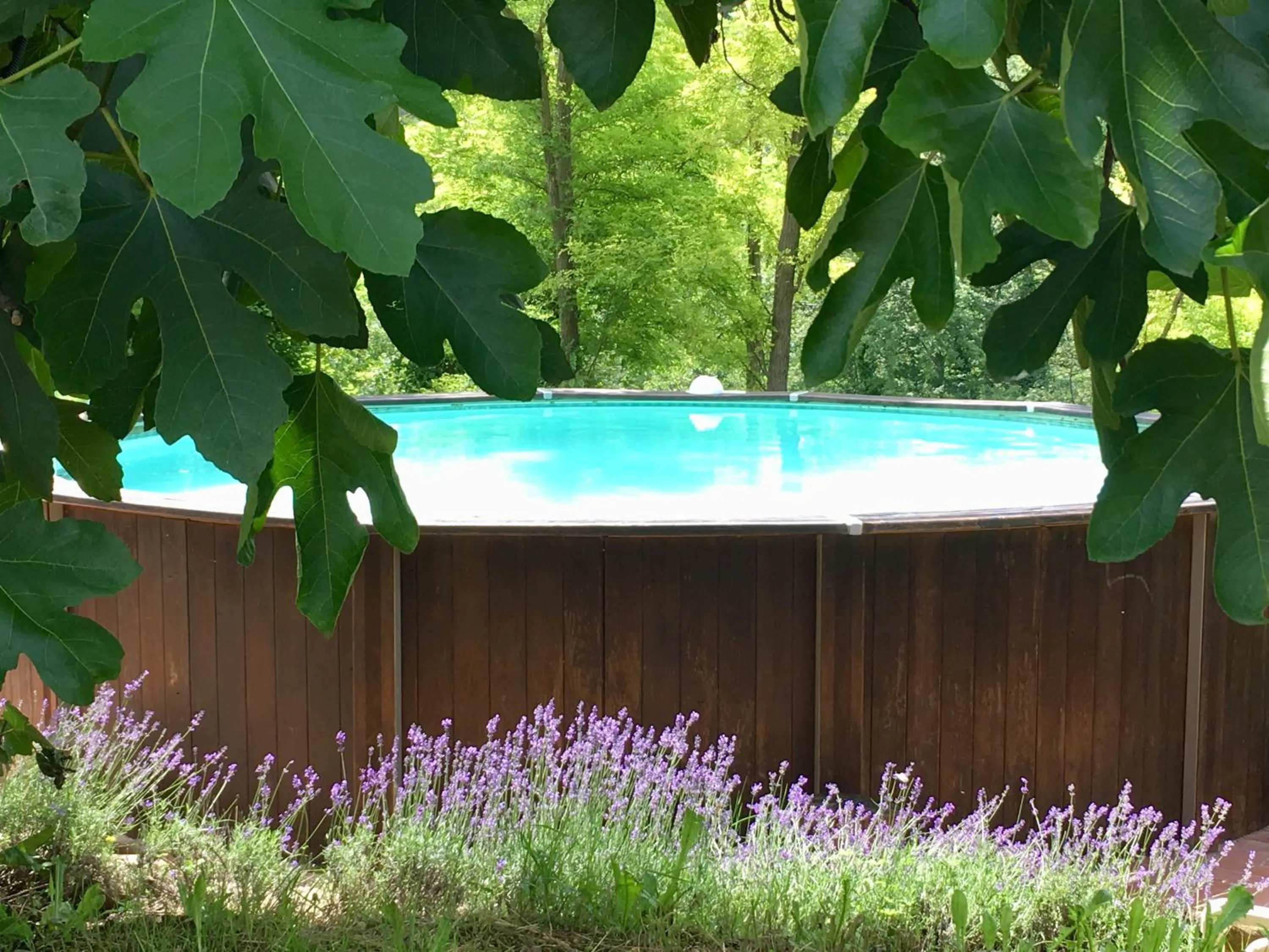 Garden in Il Nascondiglio - The Hideaway