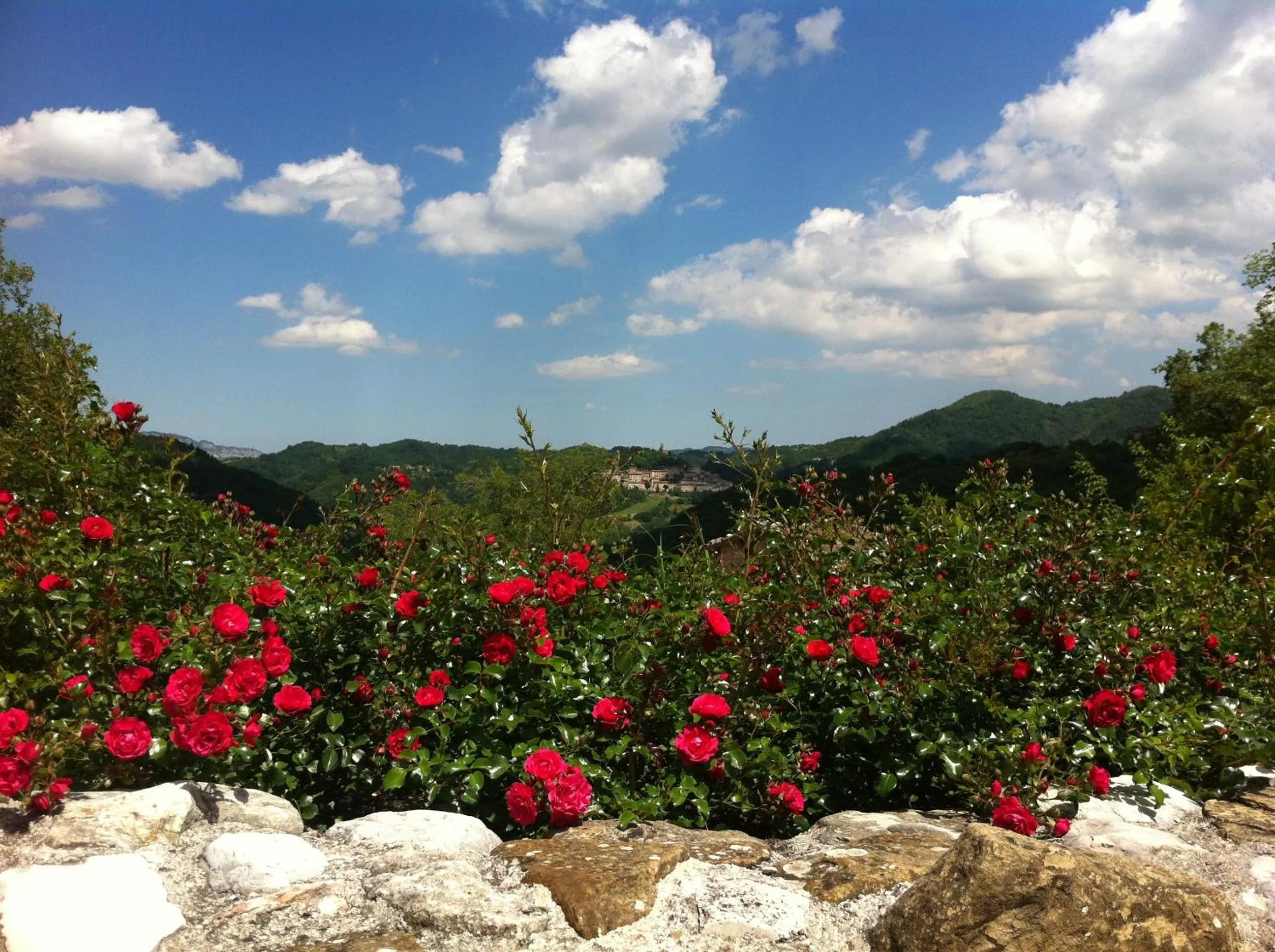 Natural landscape in Il Nascondiglio - The Hideaway