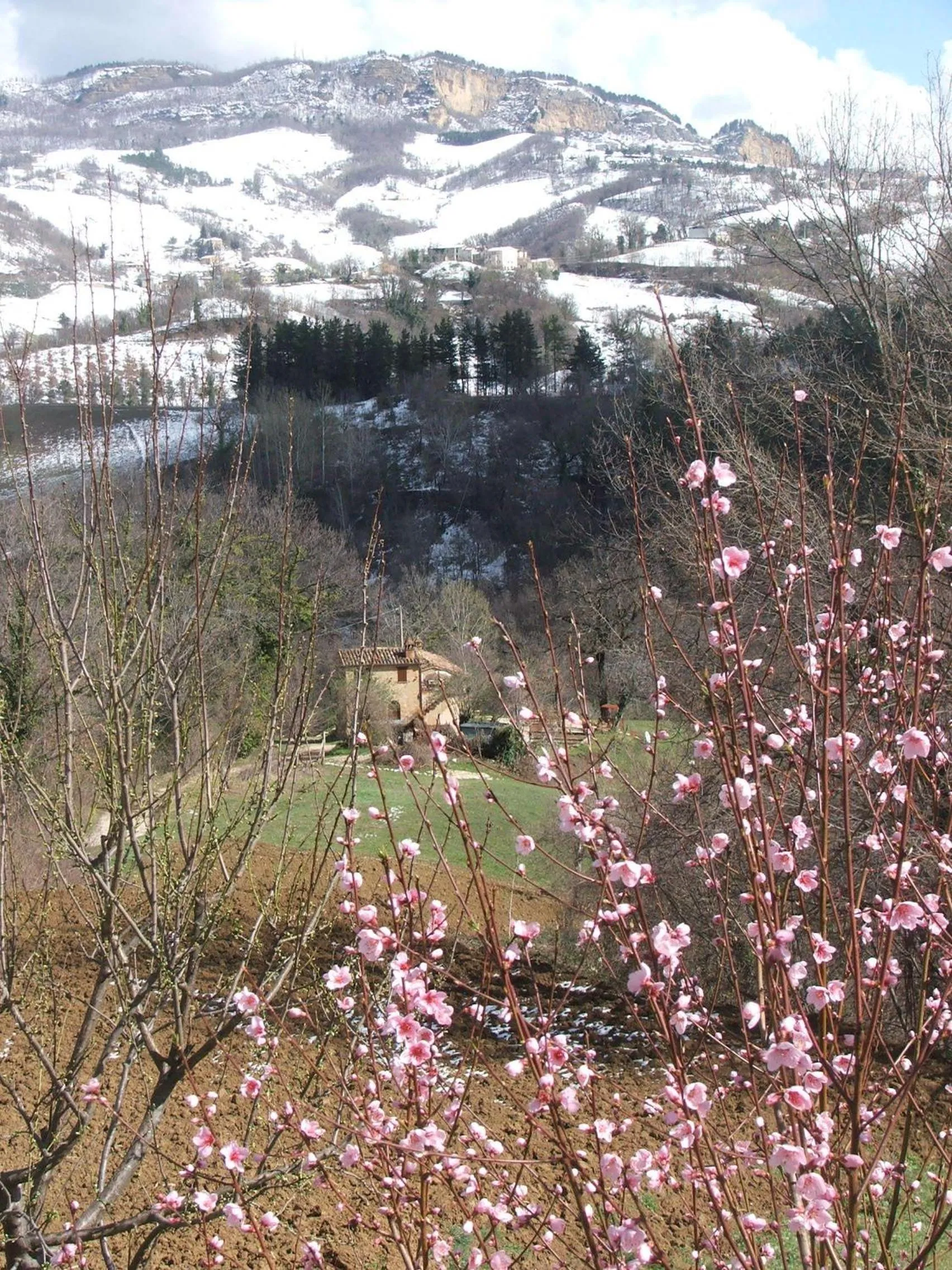 Spring in Il Nascondiglio - The Hideaway