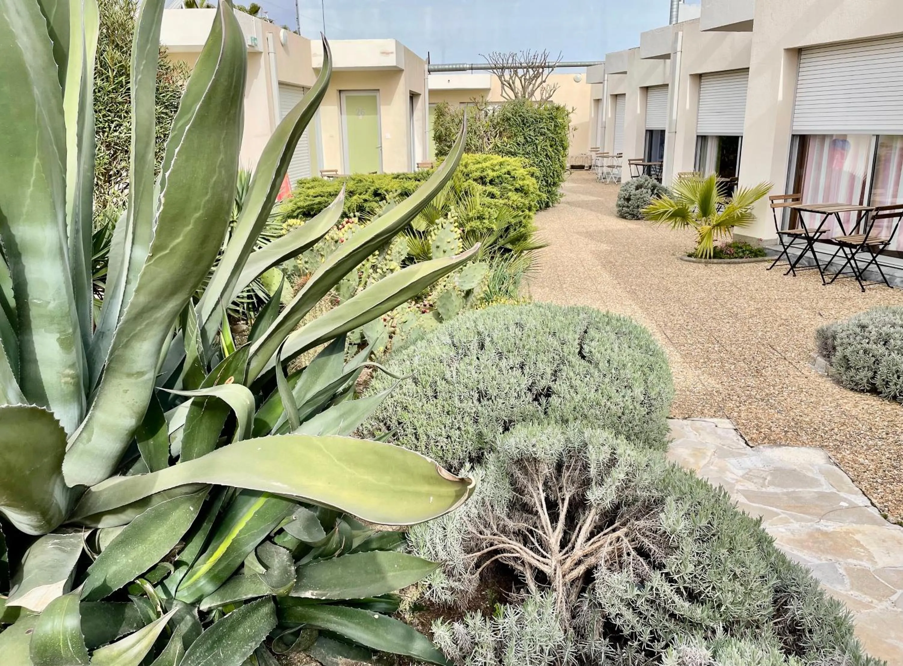 Garden in Amerique Hotel Palavas - Piscine - Plage