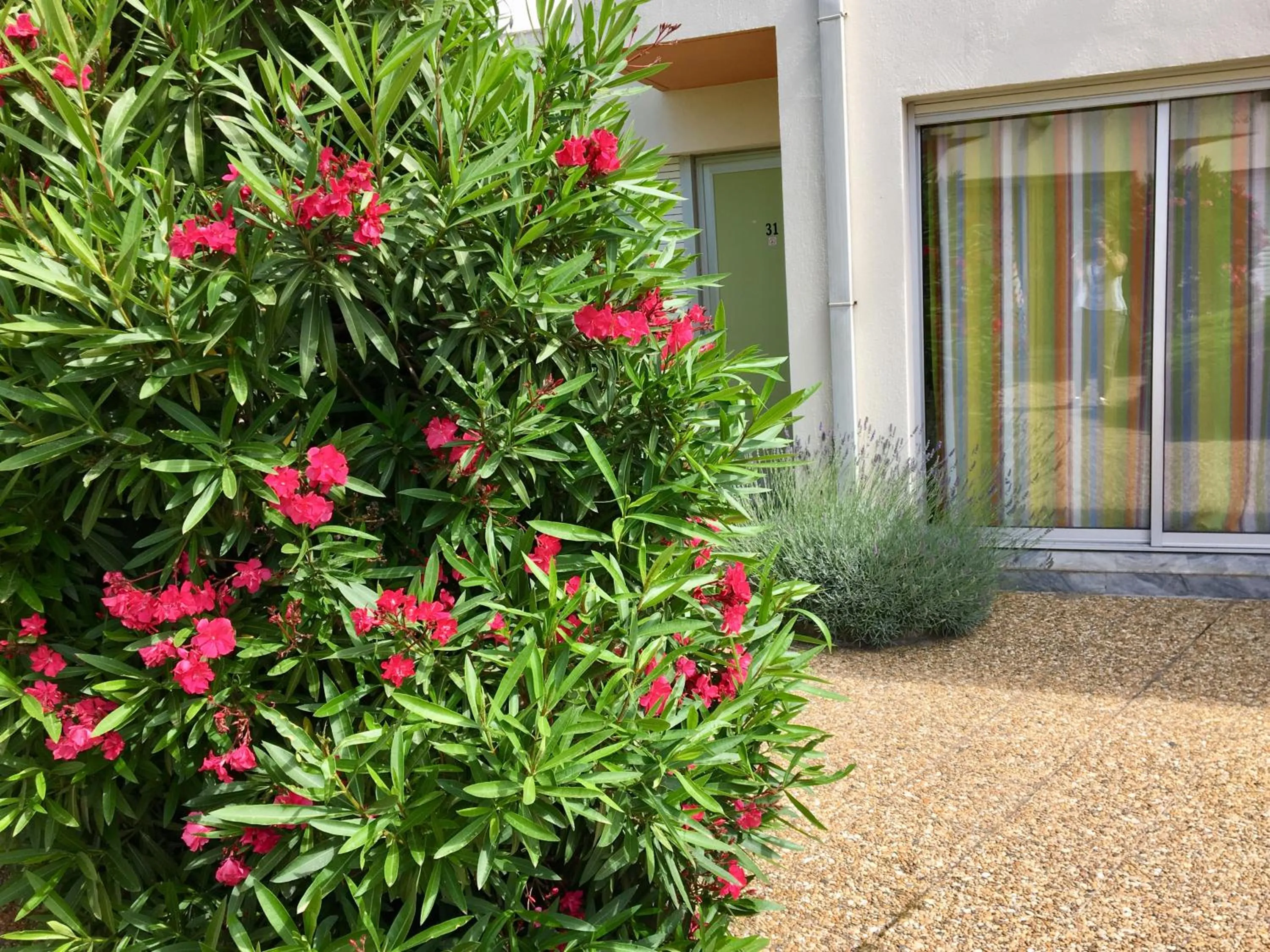 Off site in Amerique Hotel Palavas - Piscine - Plage