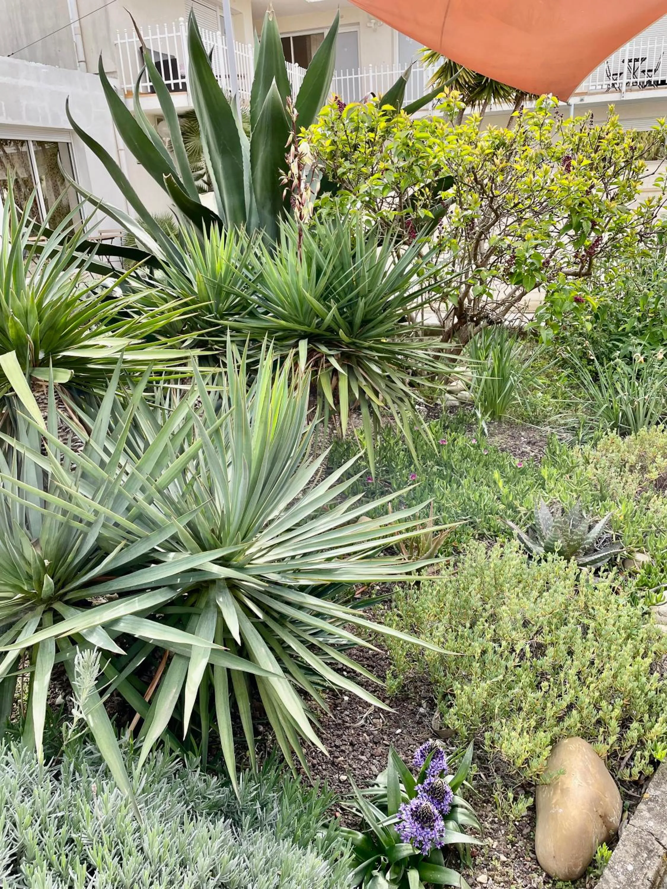 Property building in Amerique Hotel Palavas - Piscine - Plage