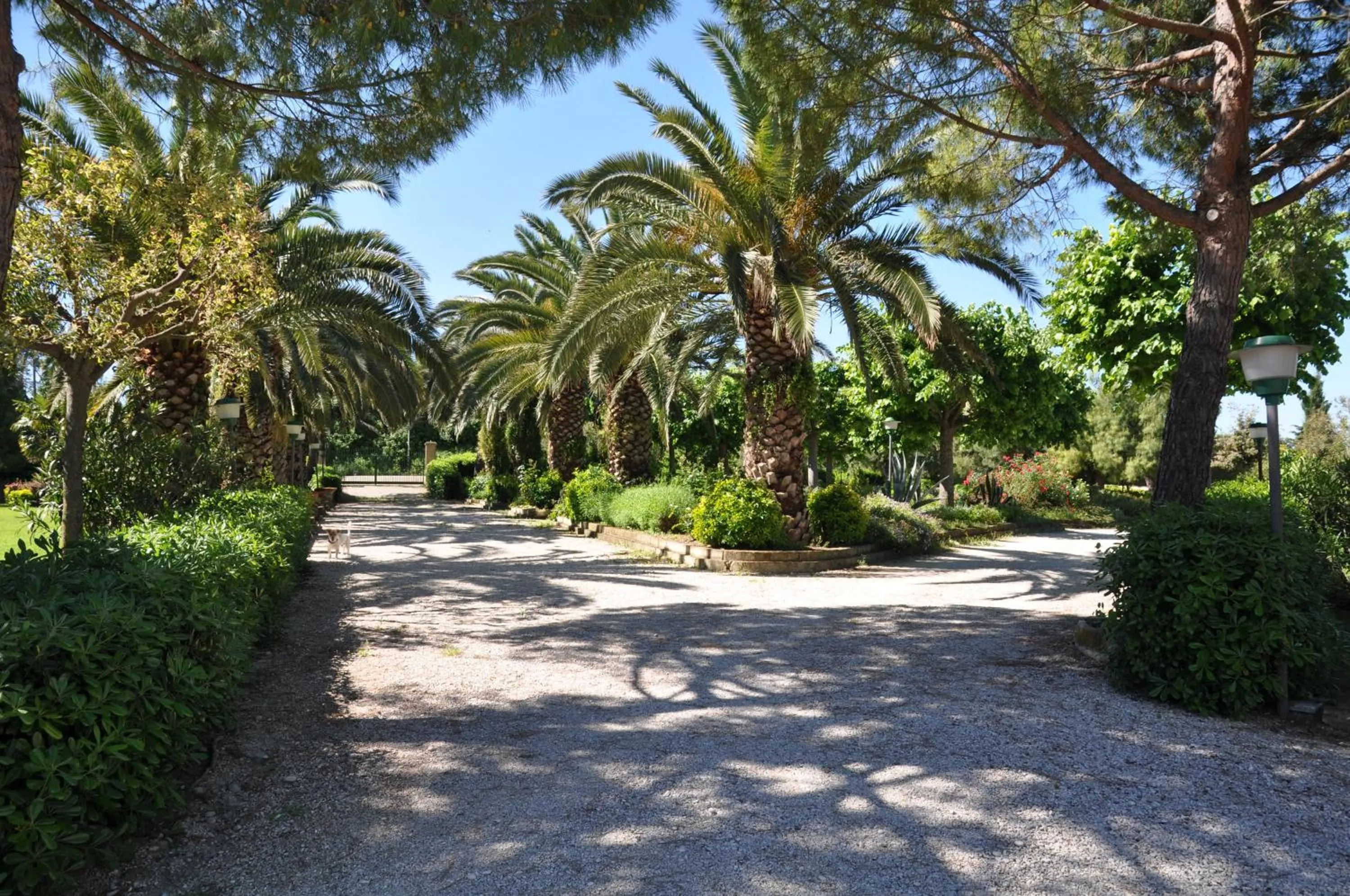Garden in Residenza Scorcio Sul Mare