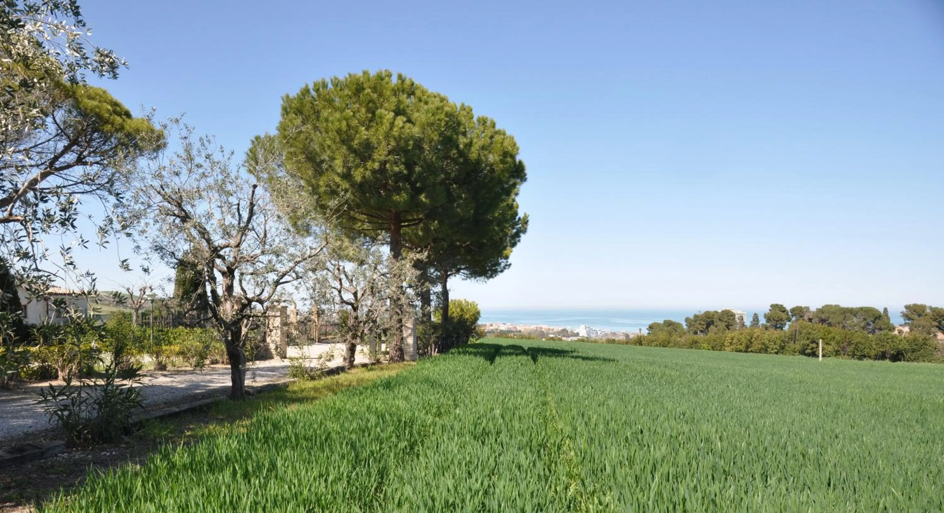 Decorative detail in Residenza Scorcio Sul Mare