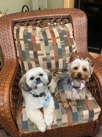 Bears Den Guest House