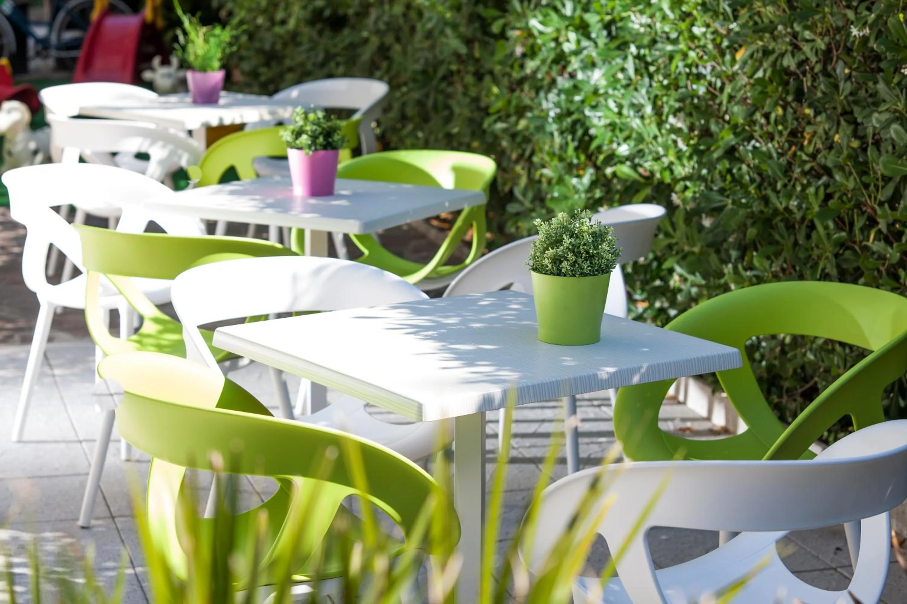 Garden in Hotel Geminus B&B