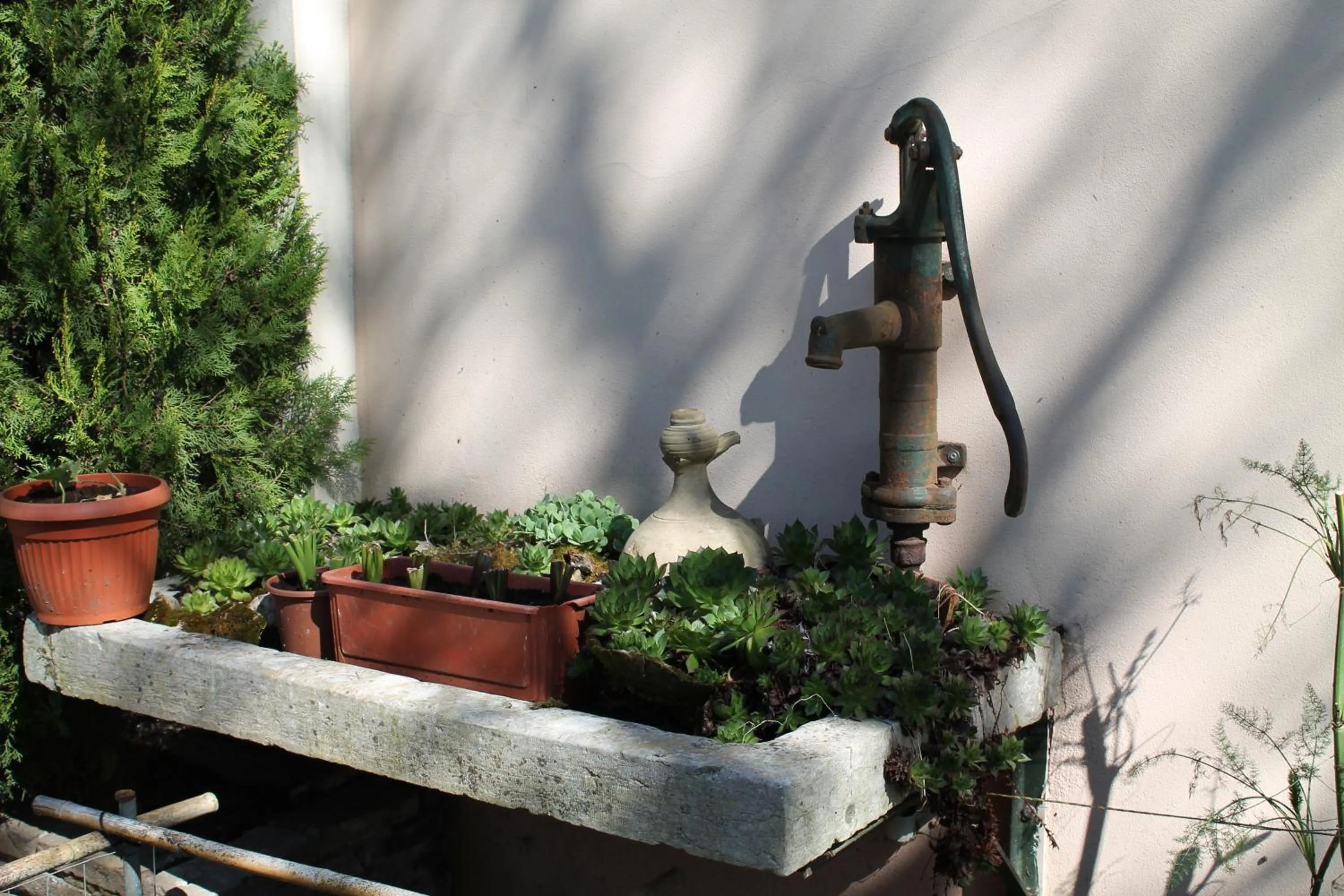 Garden in Agriturismo Le Clementine