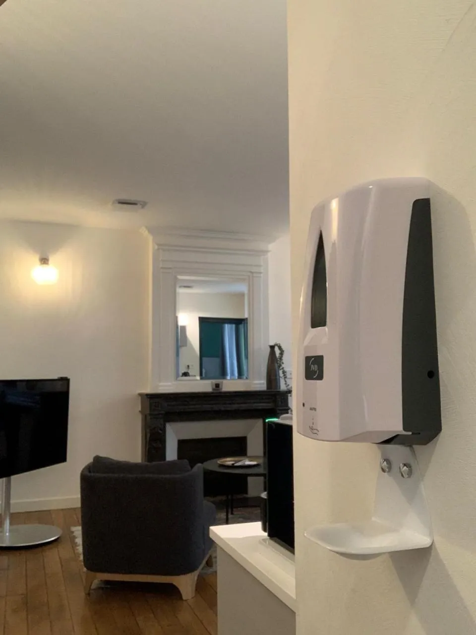 Living room in Appart'Hôtel - VILLA CÔTÉ PLATEAU - Hyper Centre - 3 Étoiles Certifiées-