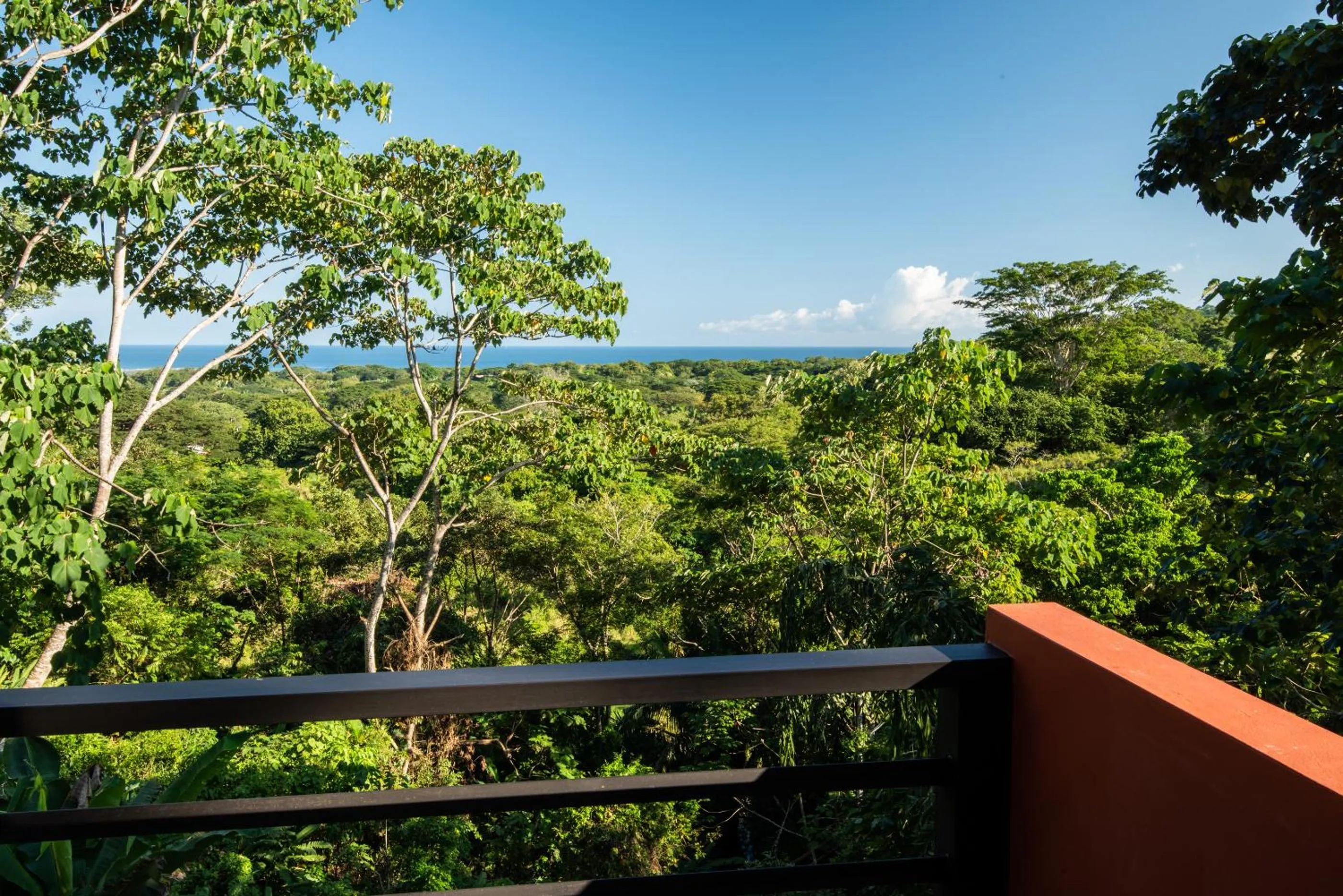 Balcony/Terrace in Jungle Lodge at Wild Sun Rescue Center