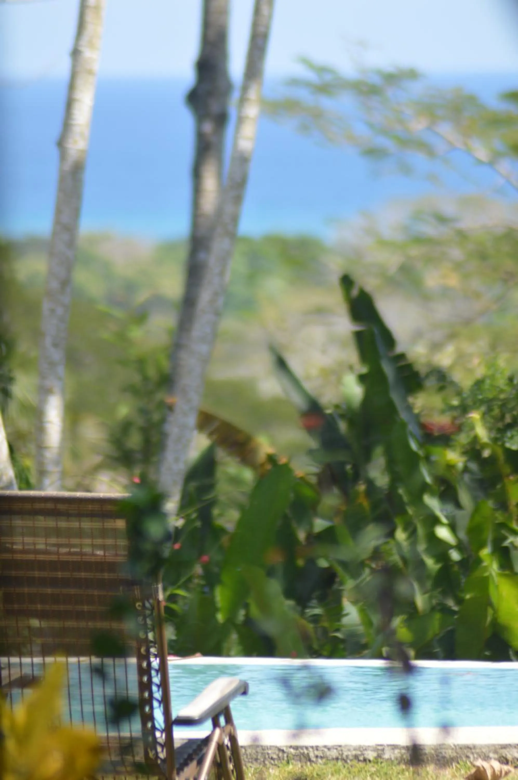 Sea view in Jungle Lodge at Wild Sun Rescue Center