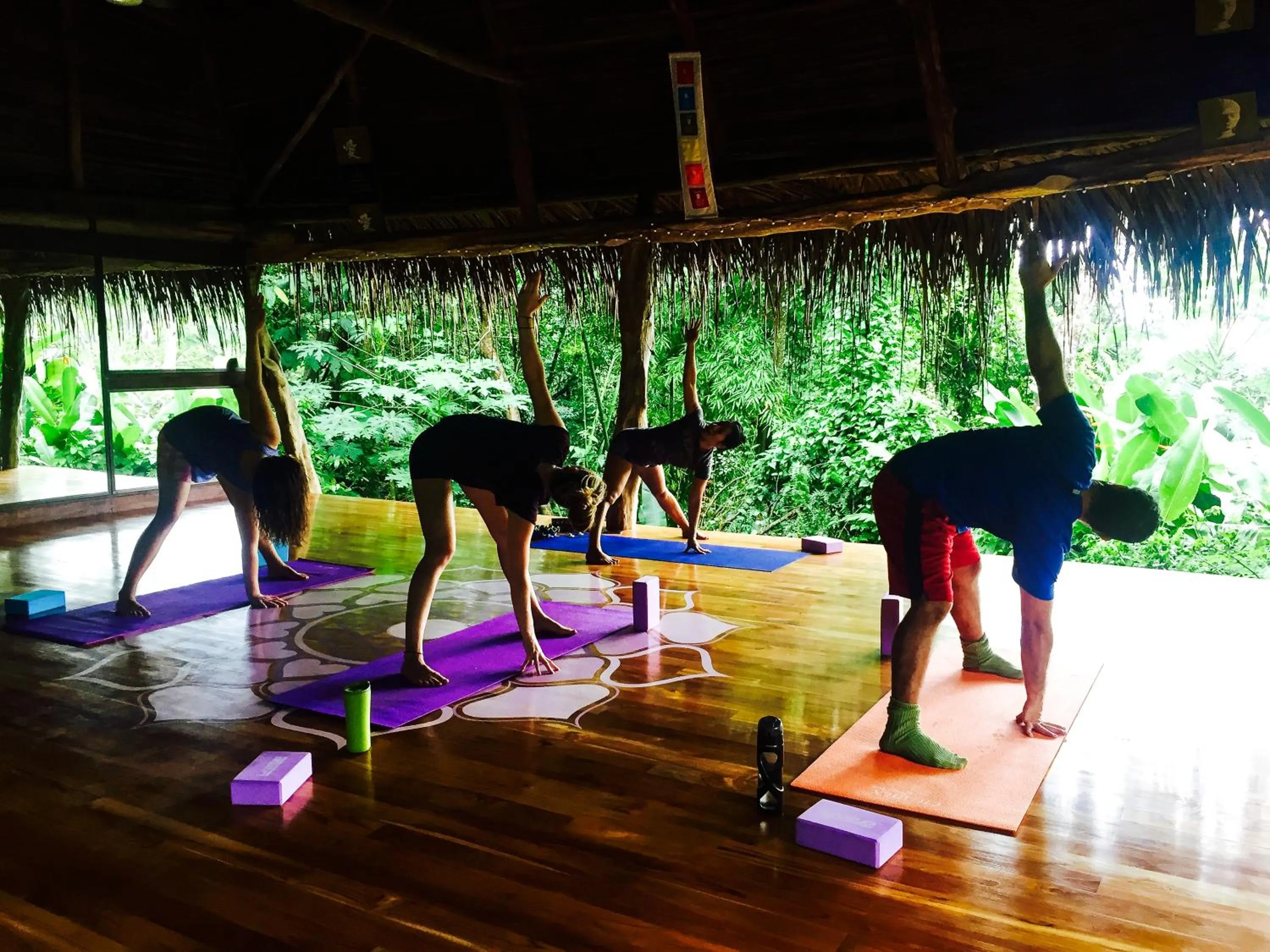 Fitness centre/facilities in Jungle Lodge at Wild Sun Rescue Center