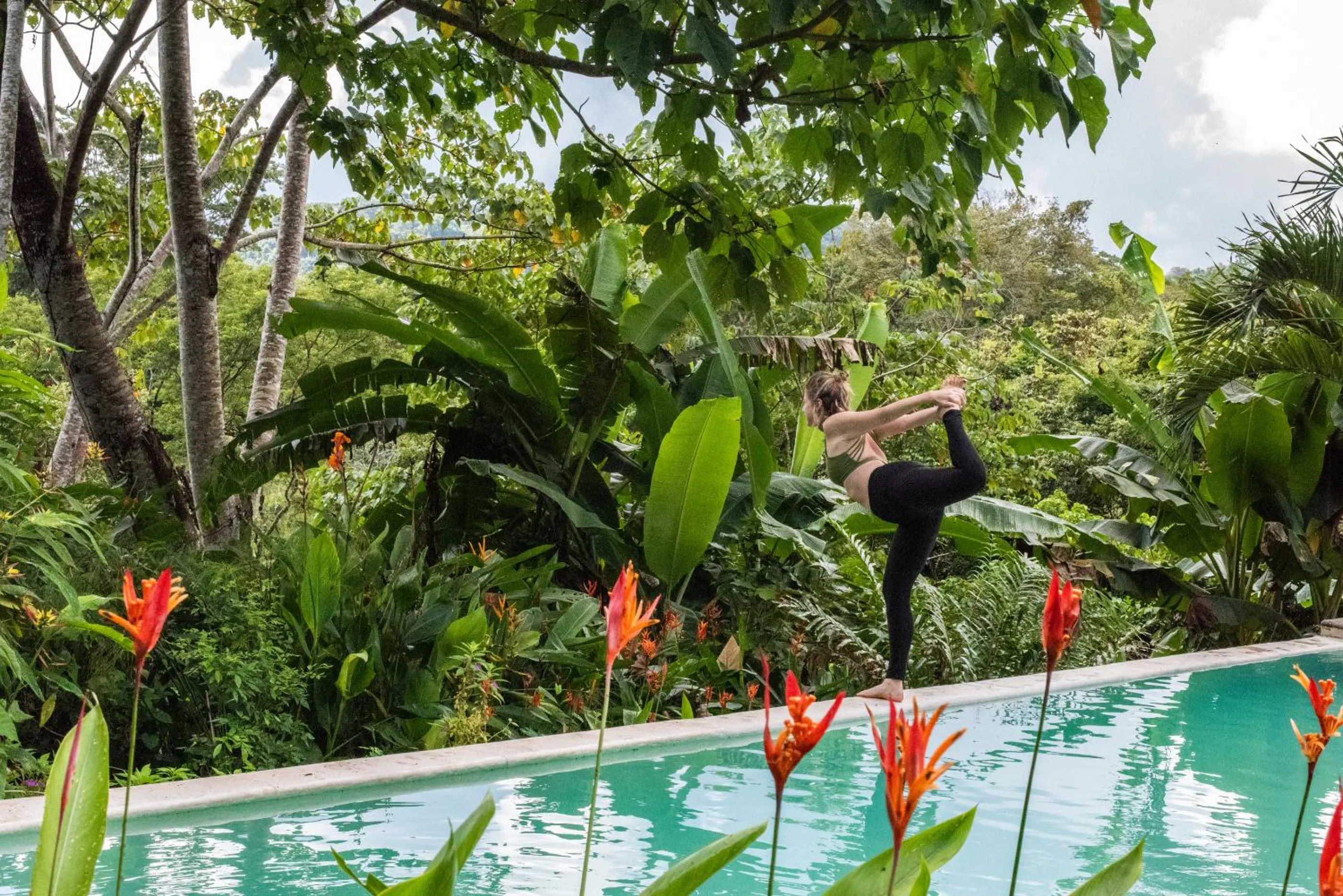 Swimming pool in Jungle Lodge at Wild Sun Rescue Center