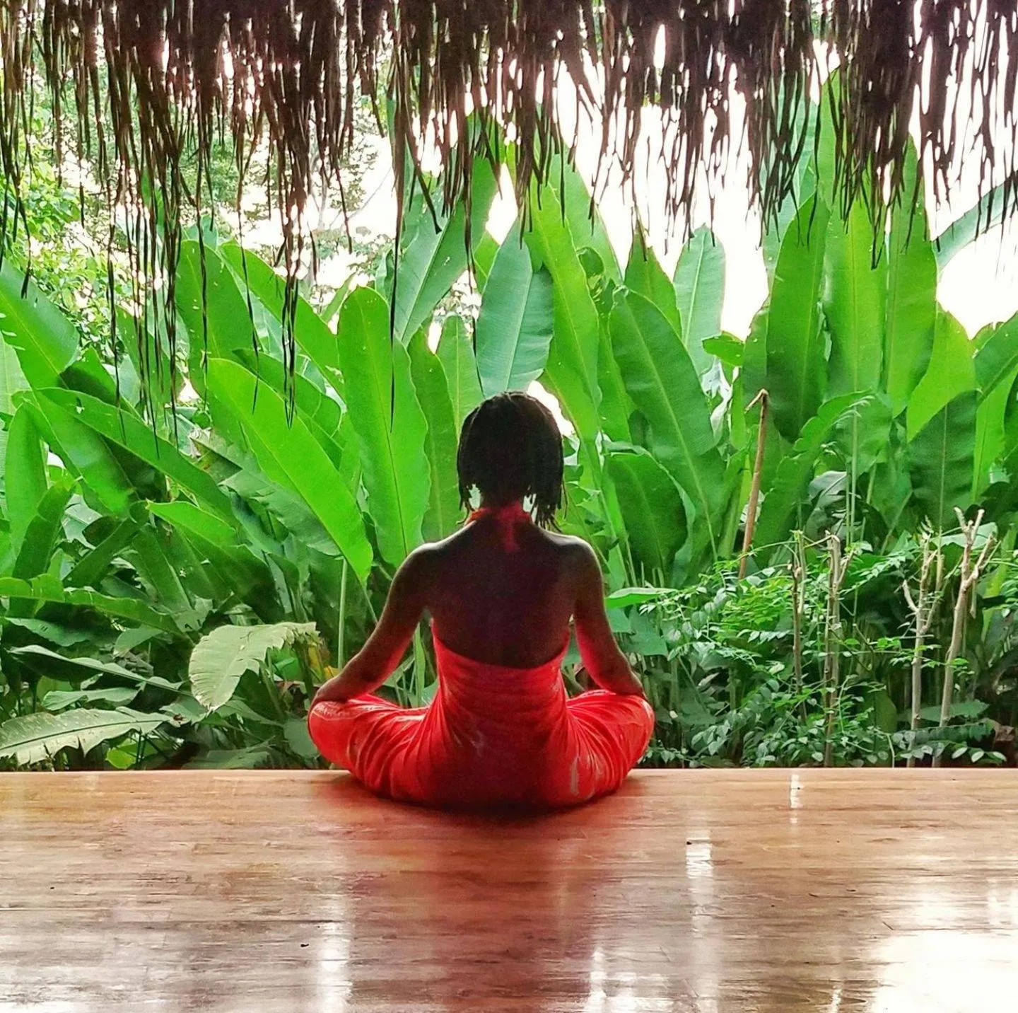 Spa and wellness centre/facilities in Jungle Lodge at Wild Sun Rescue Center