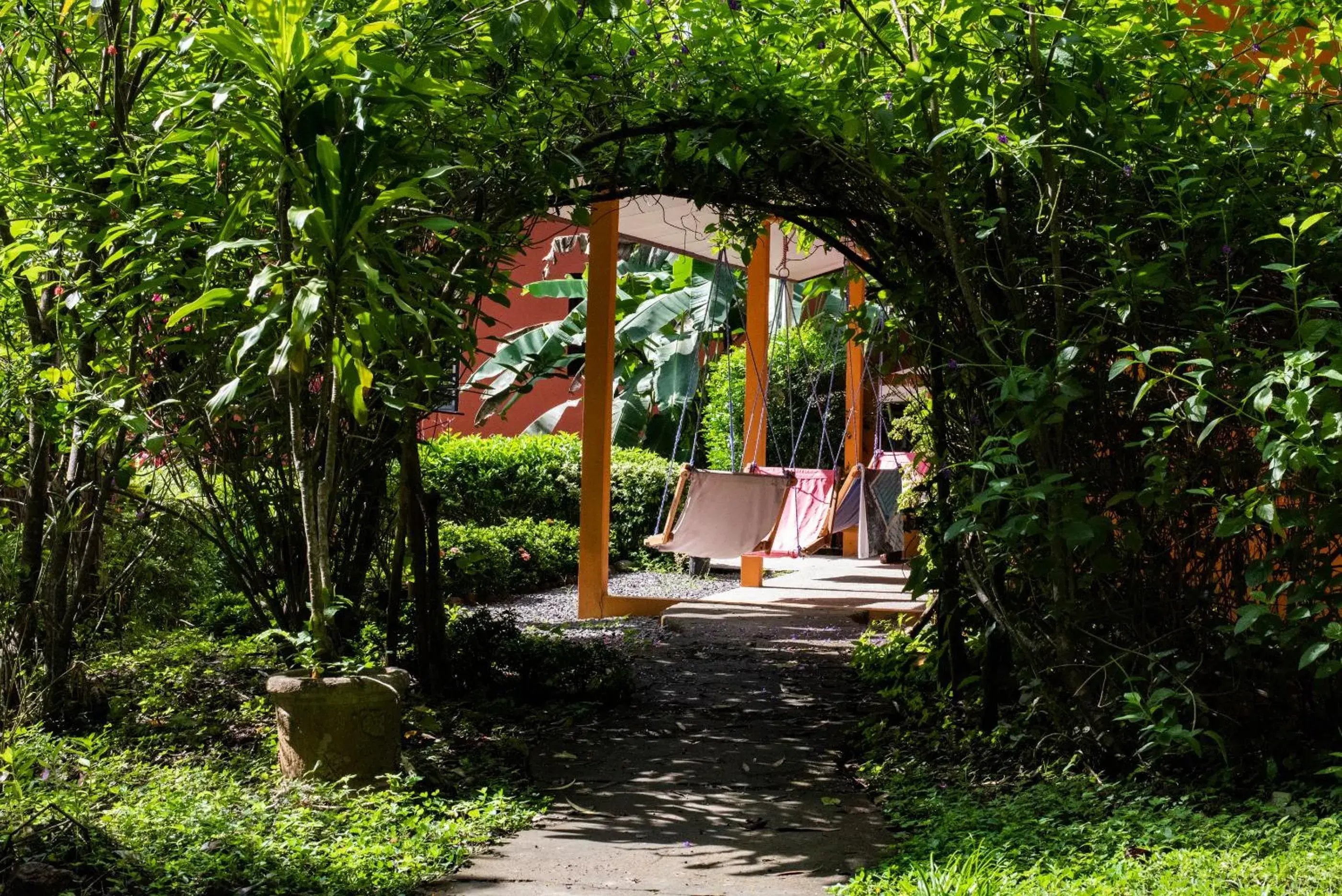 King Room with Sea View in Jungle Lodge at Wild Sun Rescue Center King Room with Sea View in Jungle Lodge at Wild Sun Rescue Center