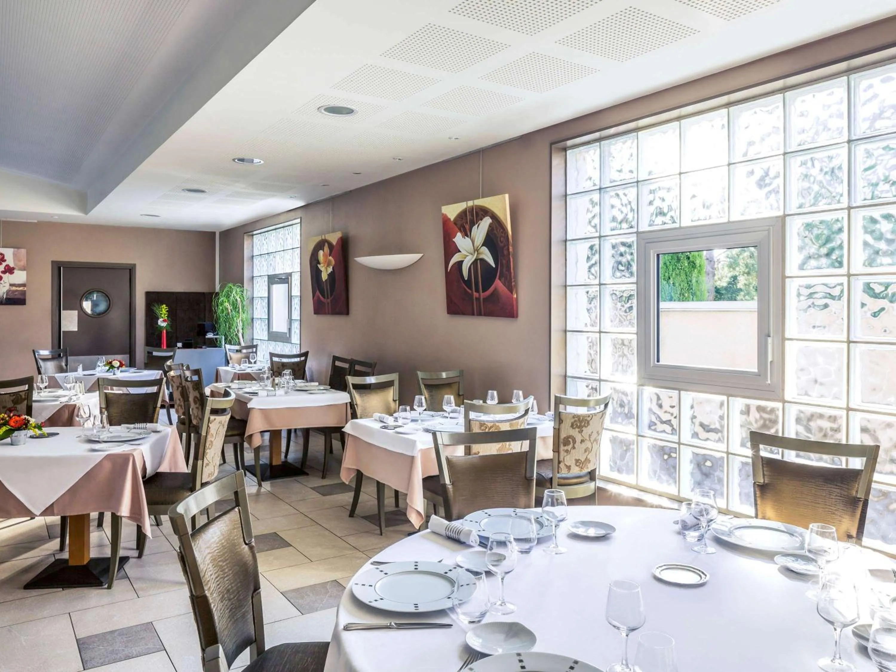 Restaurant/places to eat in Mercure Castres L'Occitan