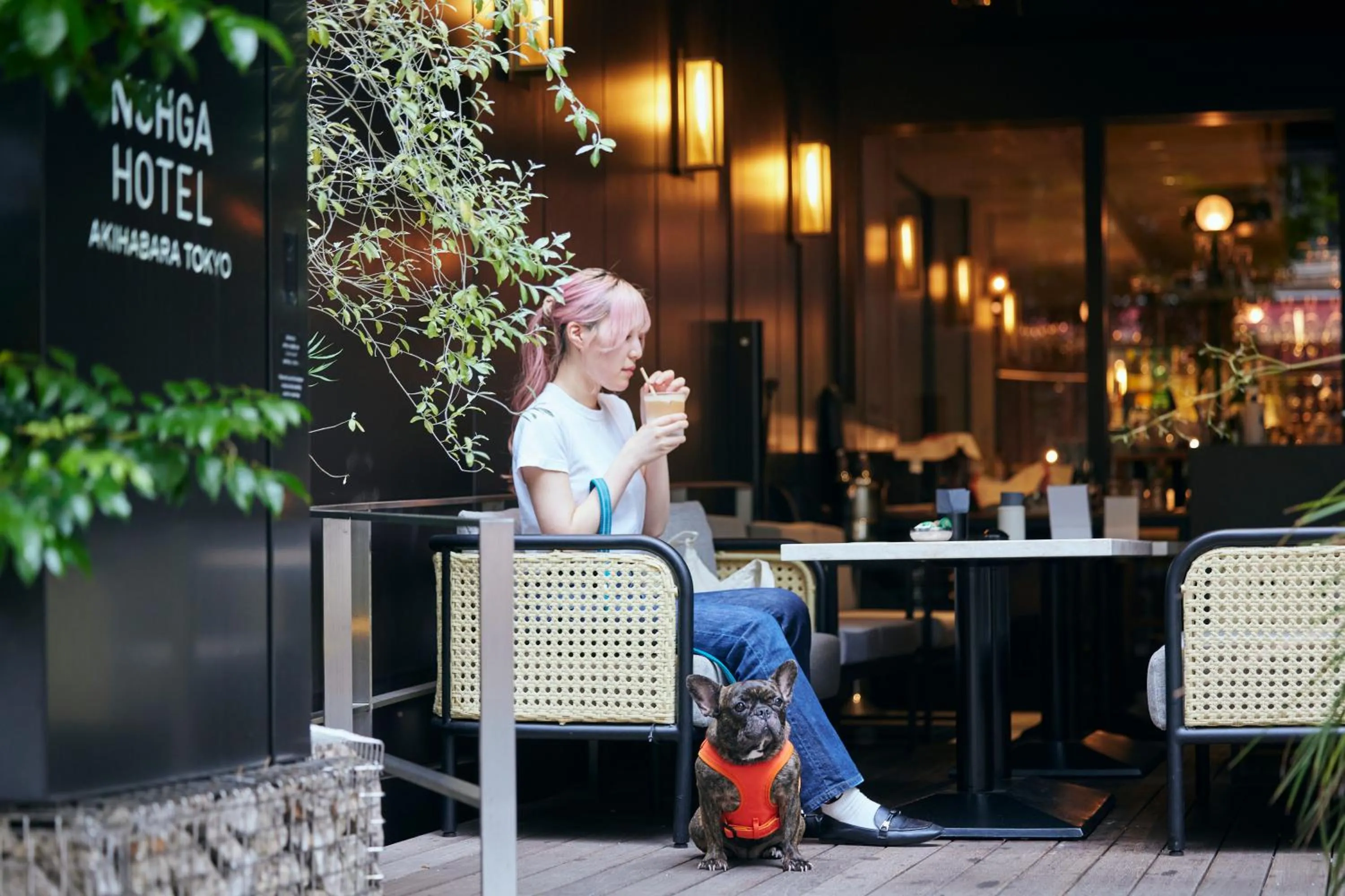 Pets in NOHGA HOTEL AKIHABARA TOKYO