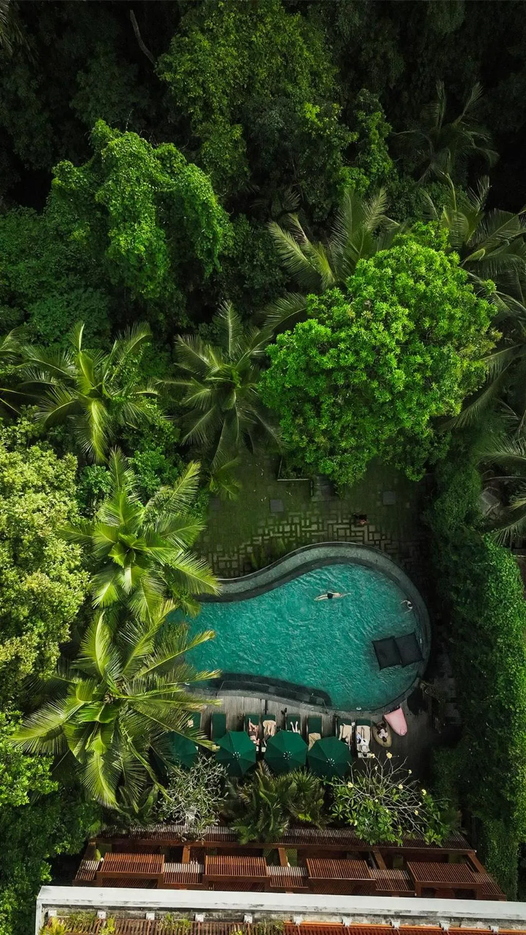 Natural landscape in Adiwana Unagi Suites