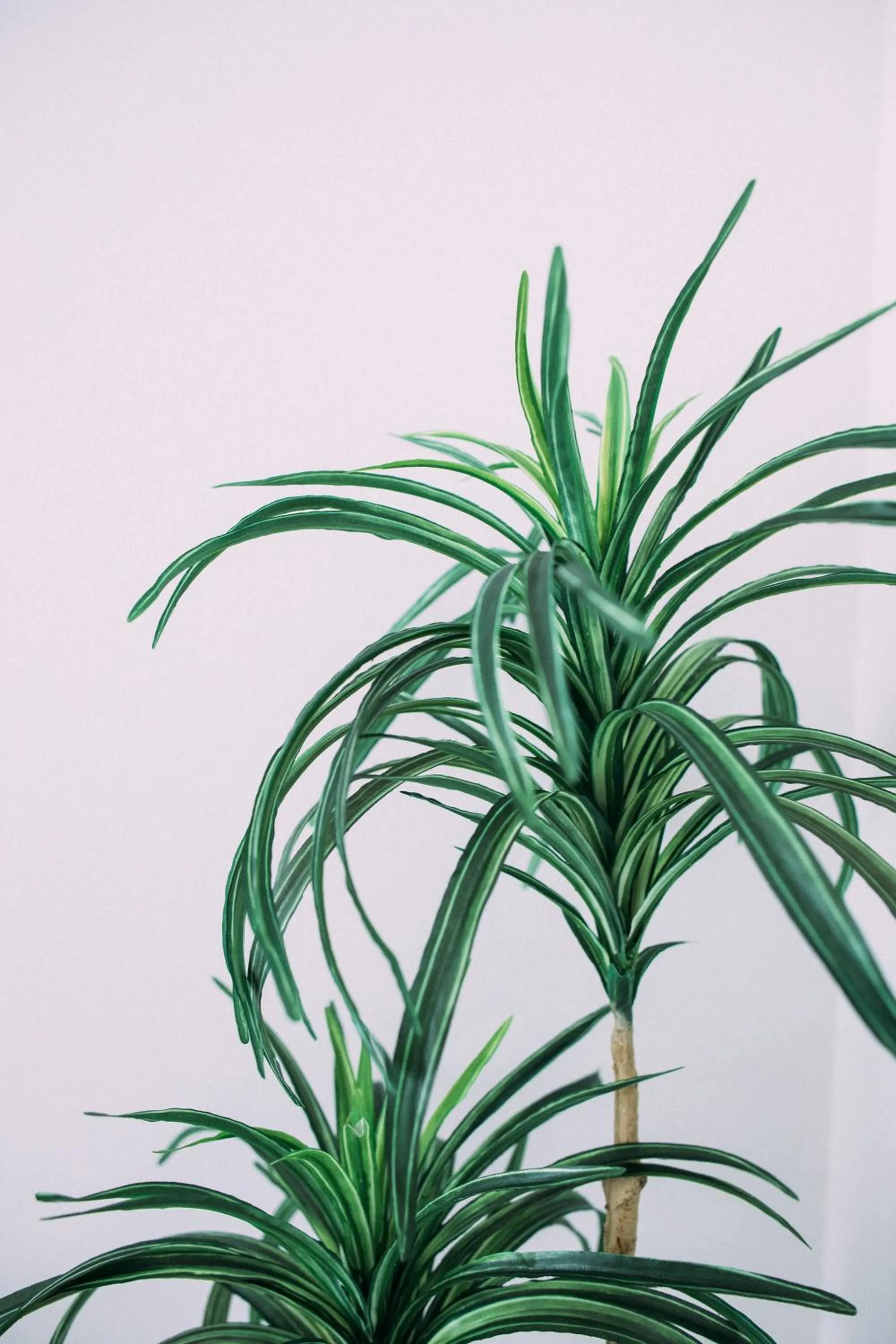 Decorative detail in Dash Living Nihonbashi