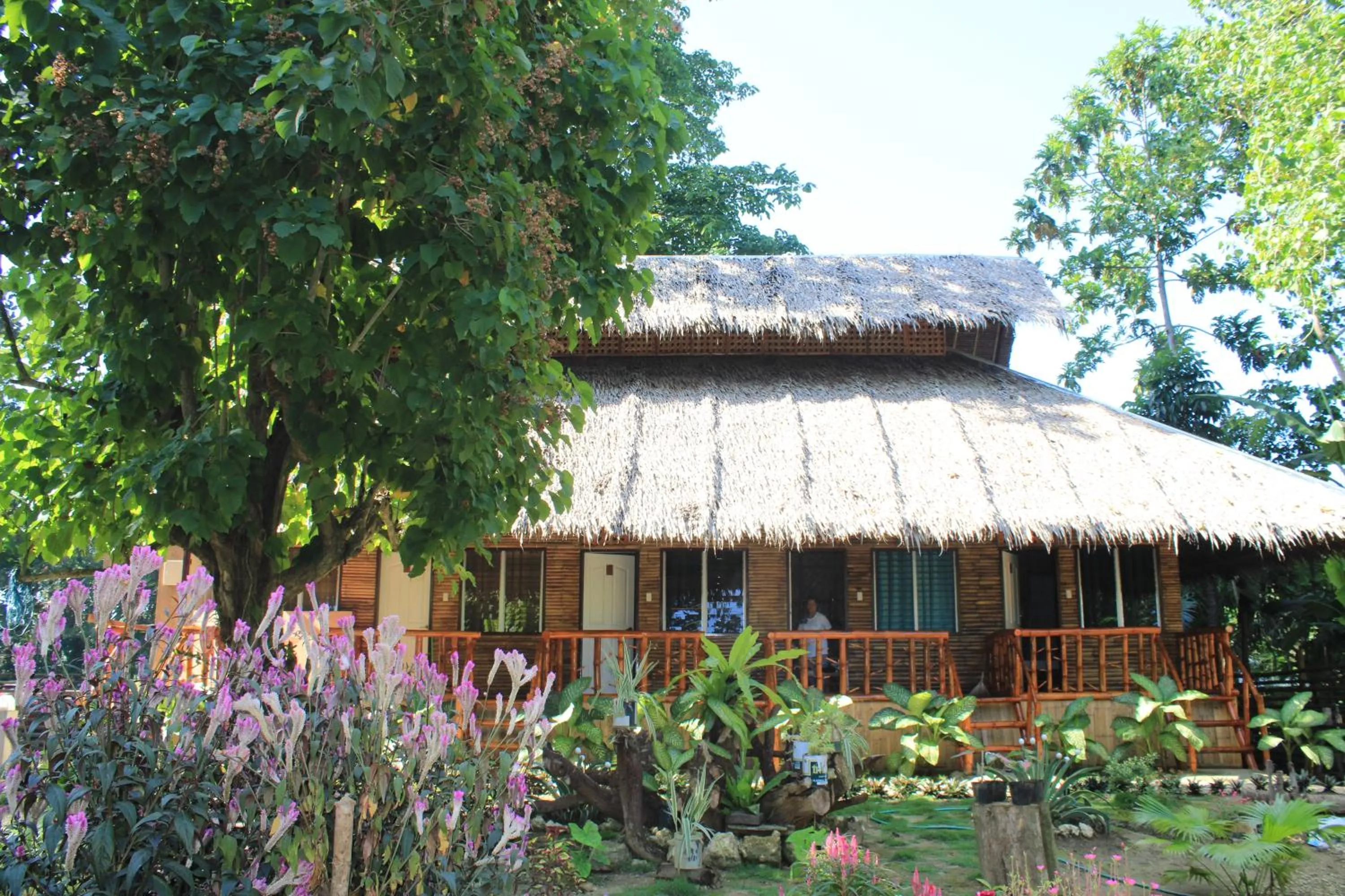 Property building in Loboc Cool River Resort