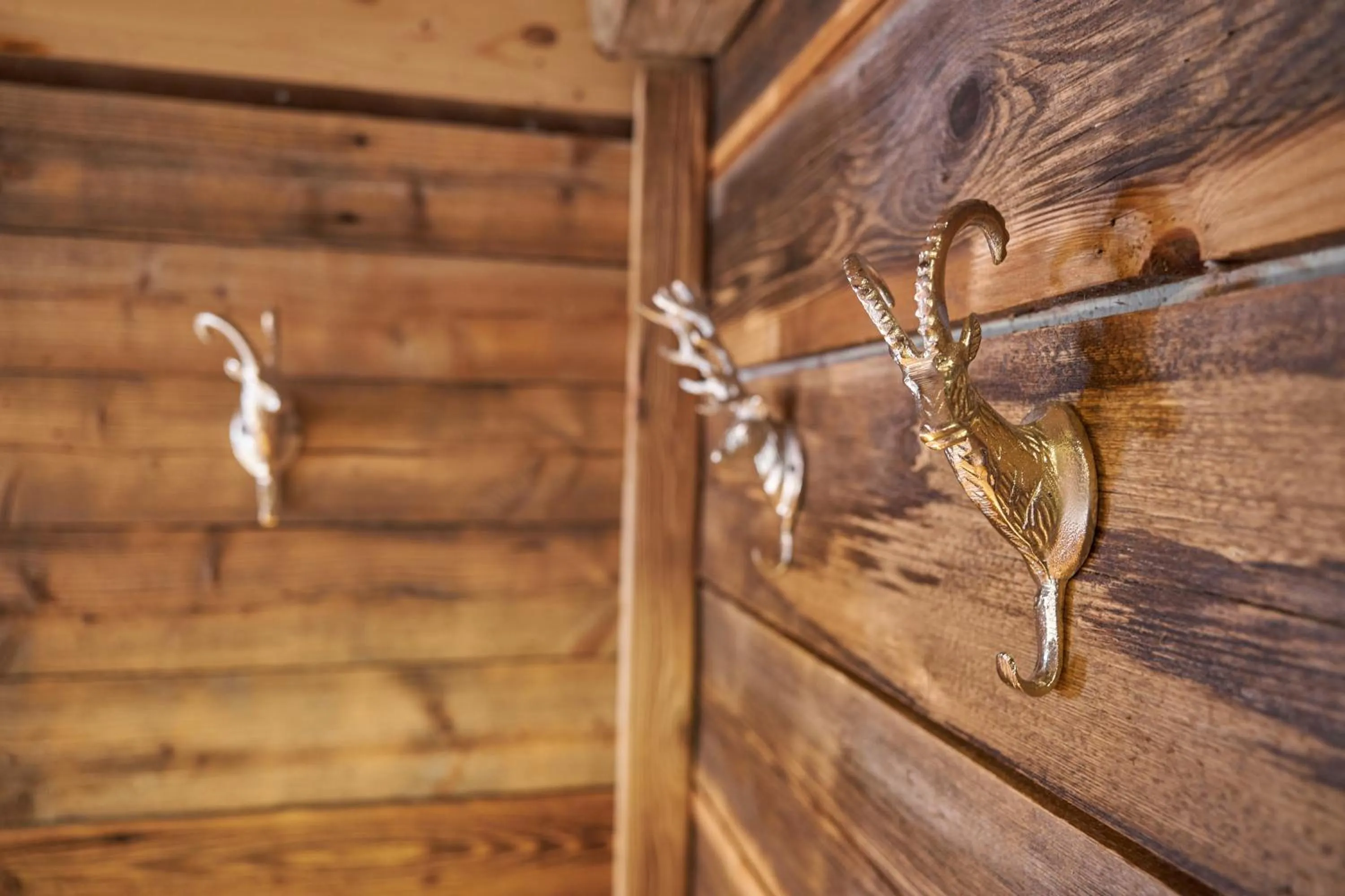 Decorative detail in Haus Magnushof