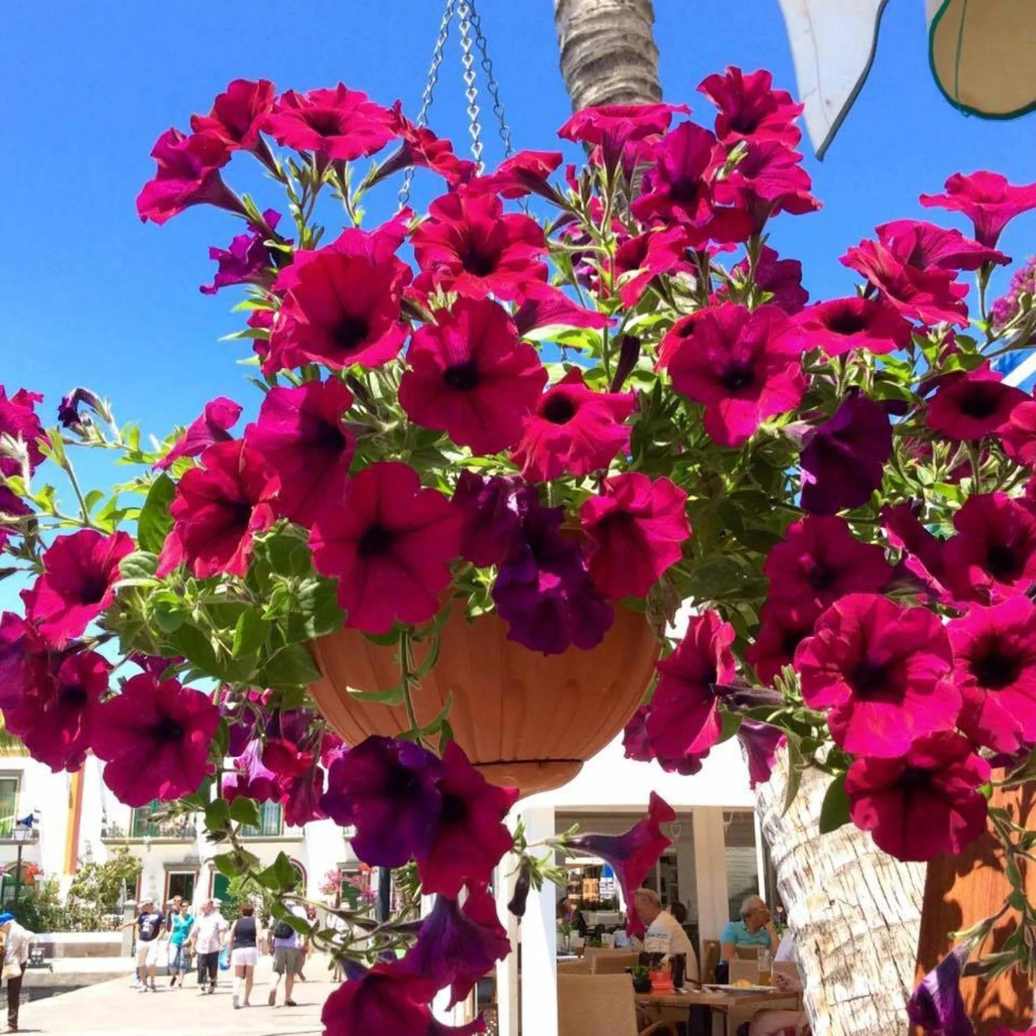 View (from property/room) in Captains House Playa De Mogan by El Sirocco