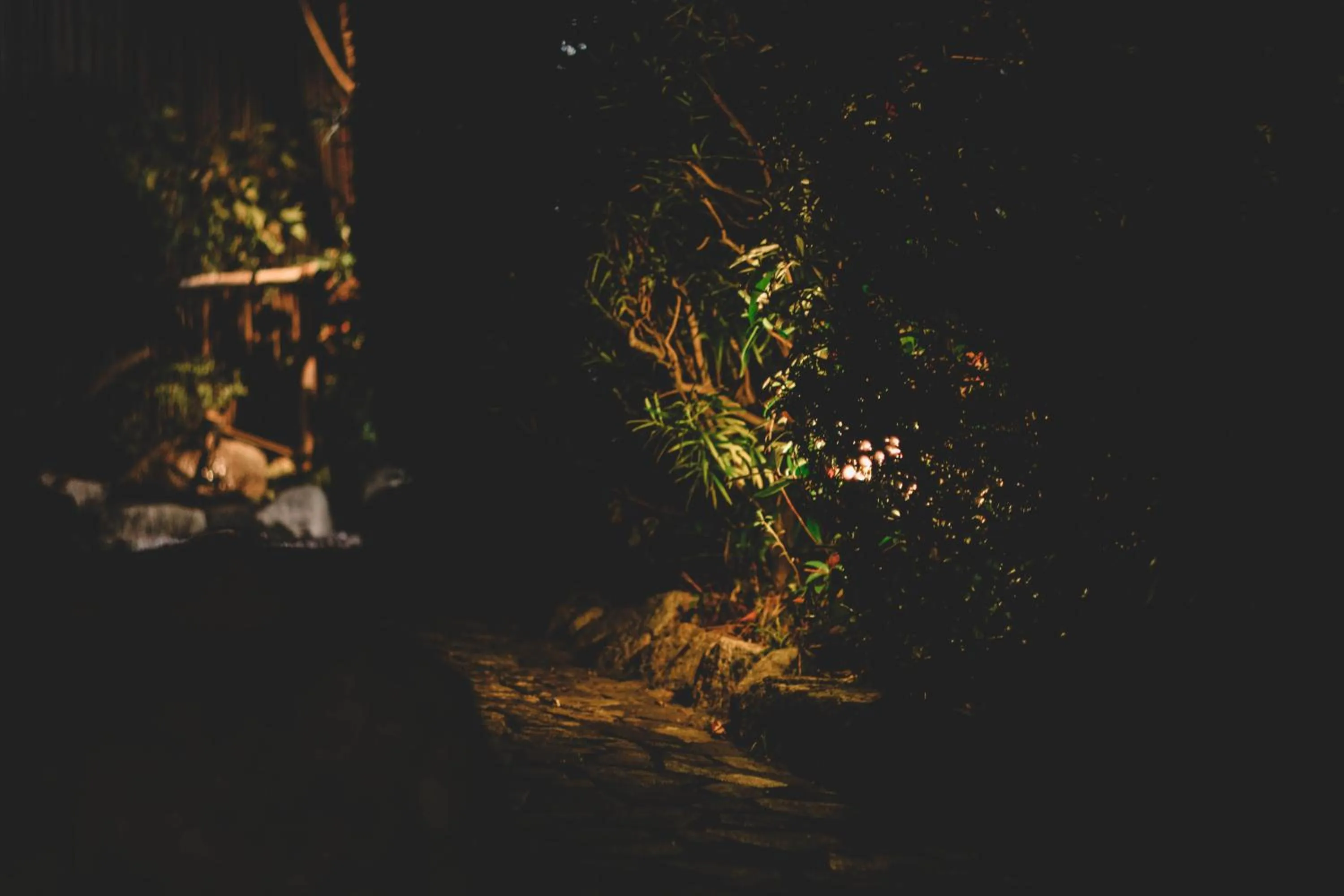 Area and facilities in Waseido Zen