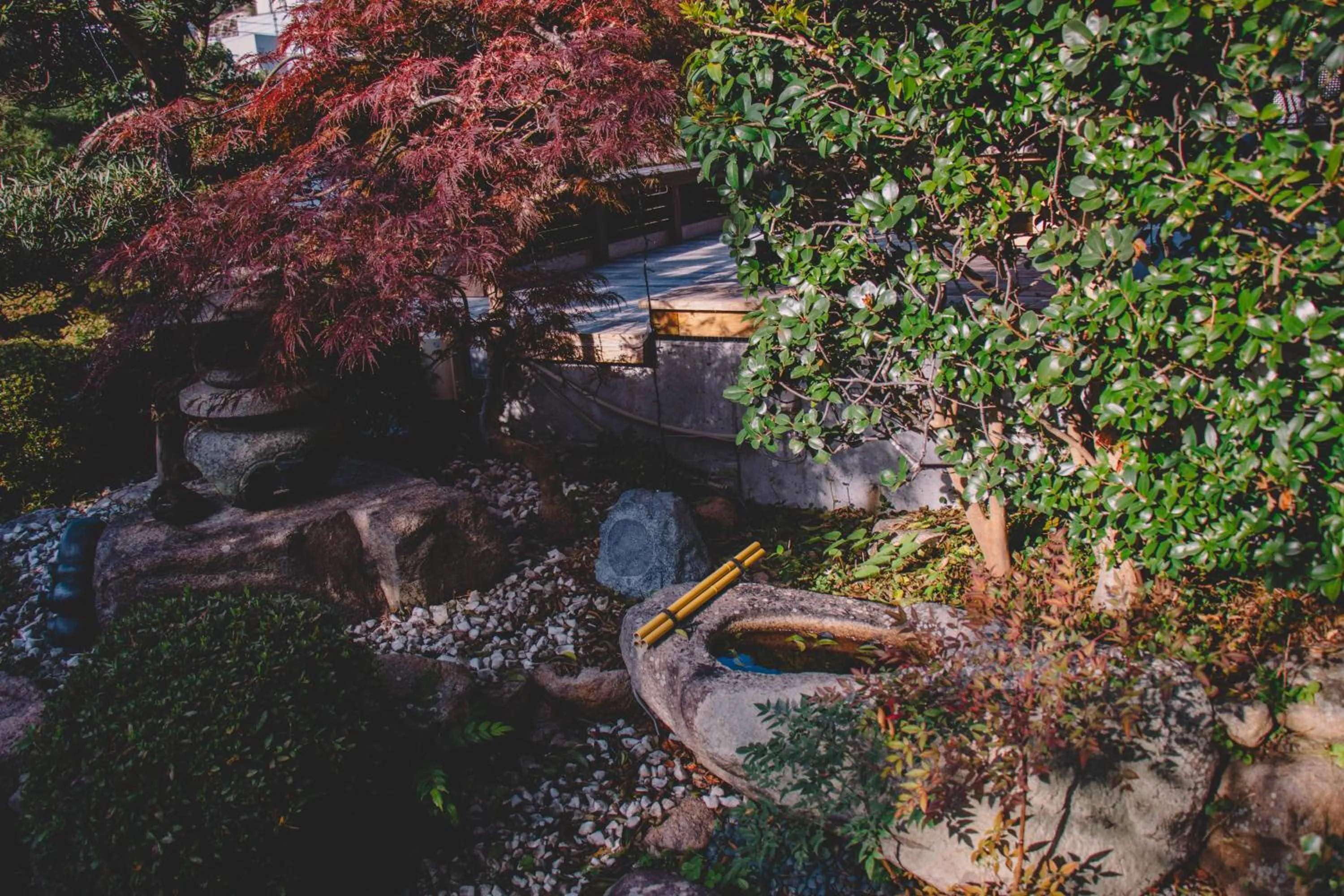 Area and facilities in Waseido Zen