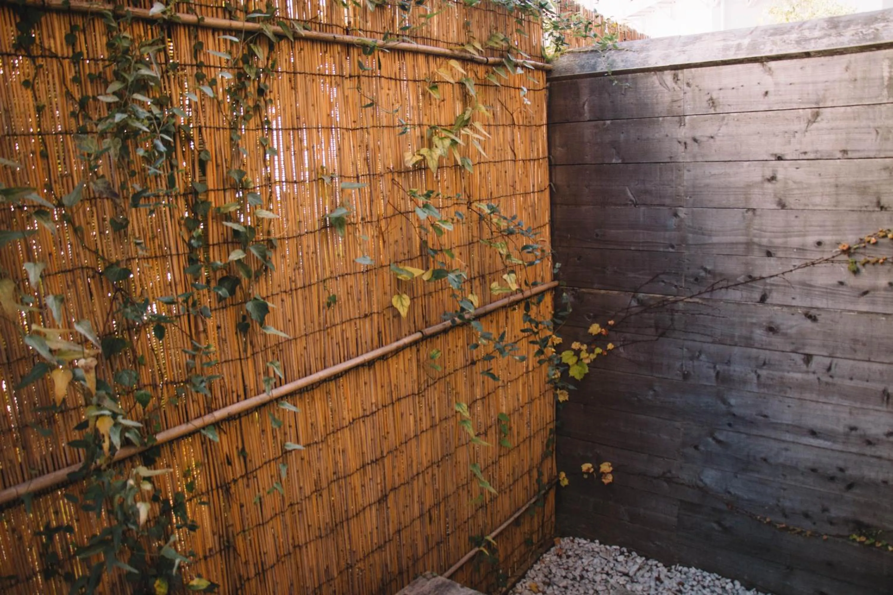 Area and facilities in Waseido Zen