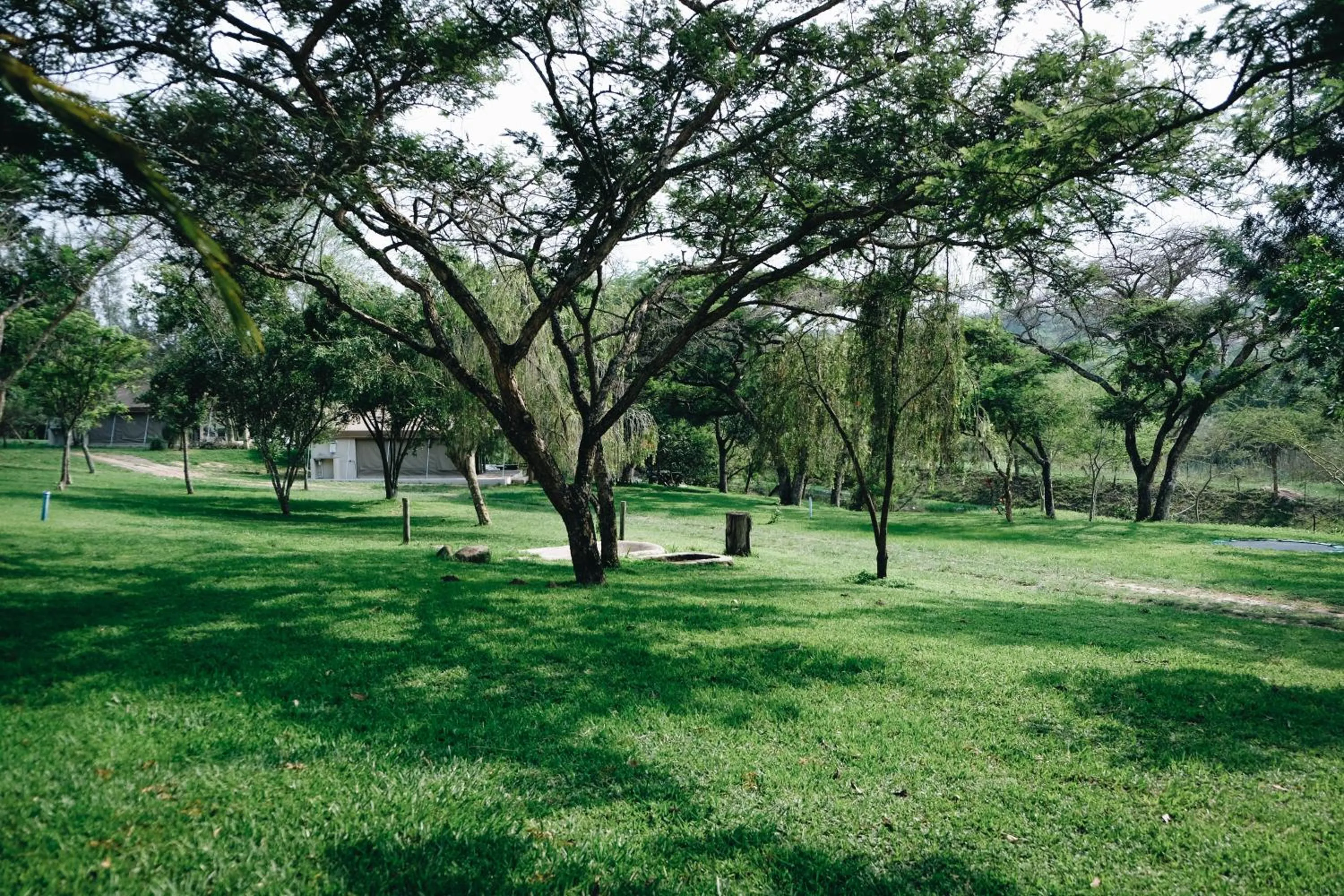 Garden in Rockview Lodge